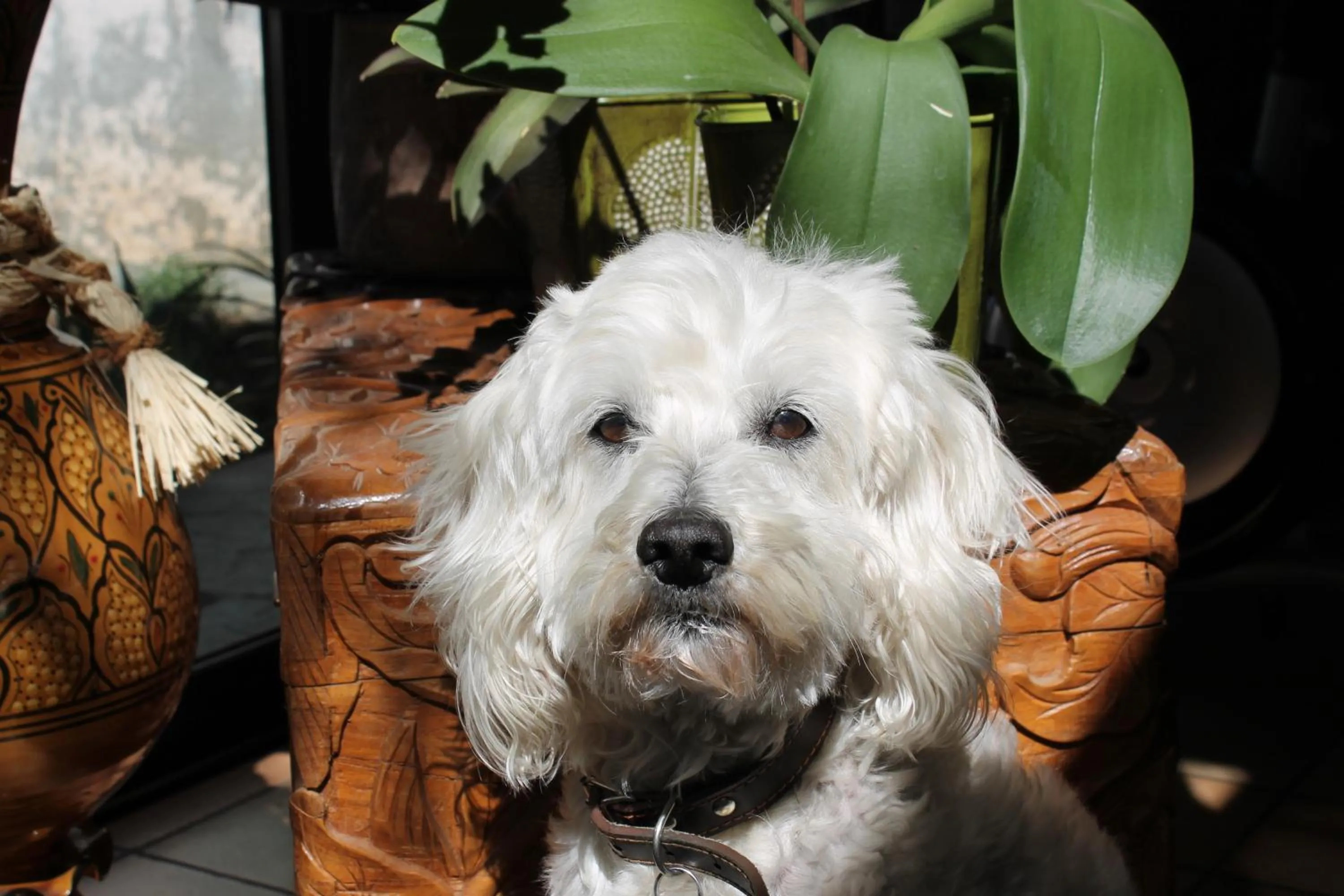 Other in Domaine Le Clos des Oliviers