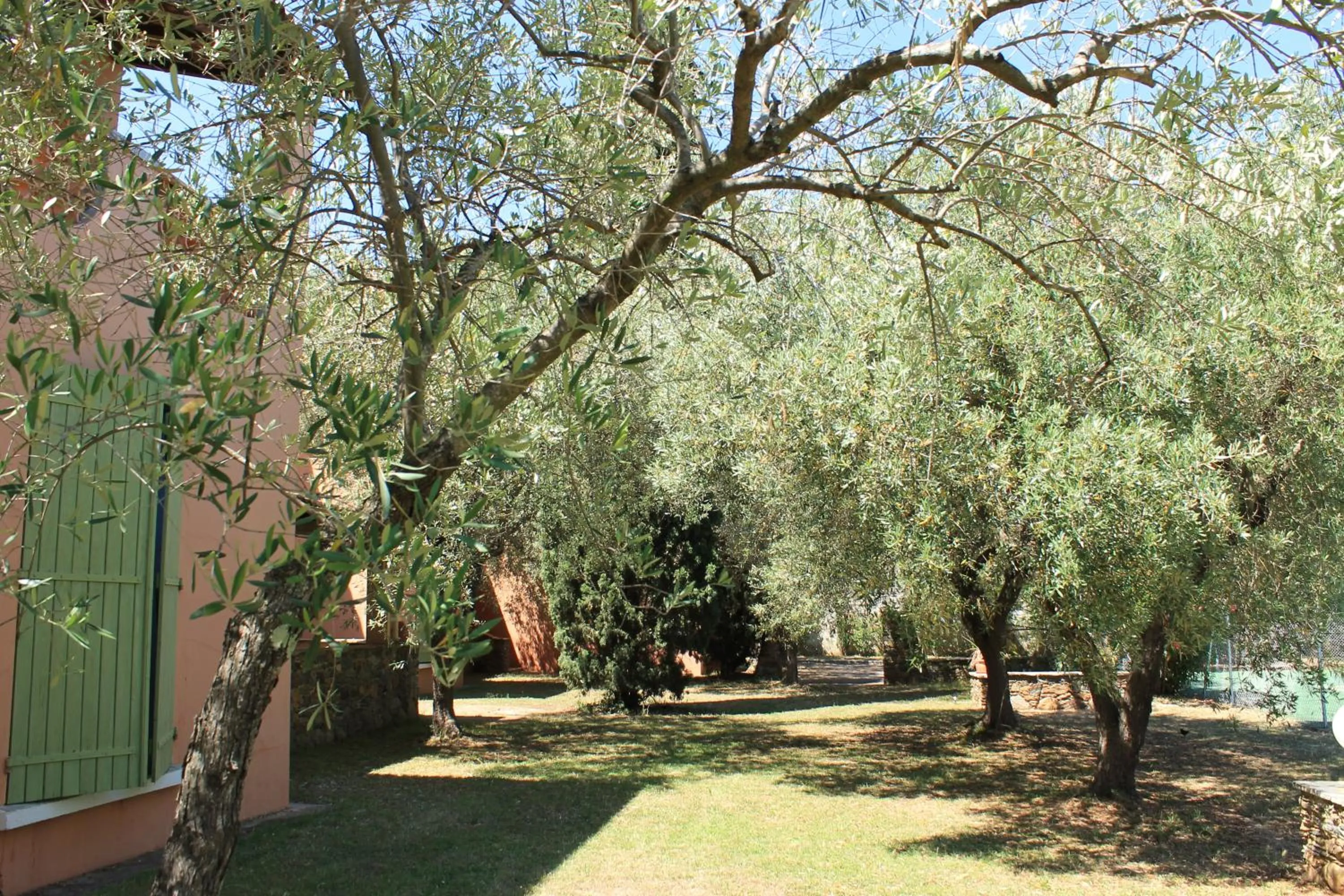 Domaine Le Clos des Oliviers