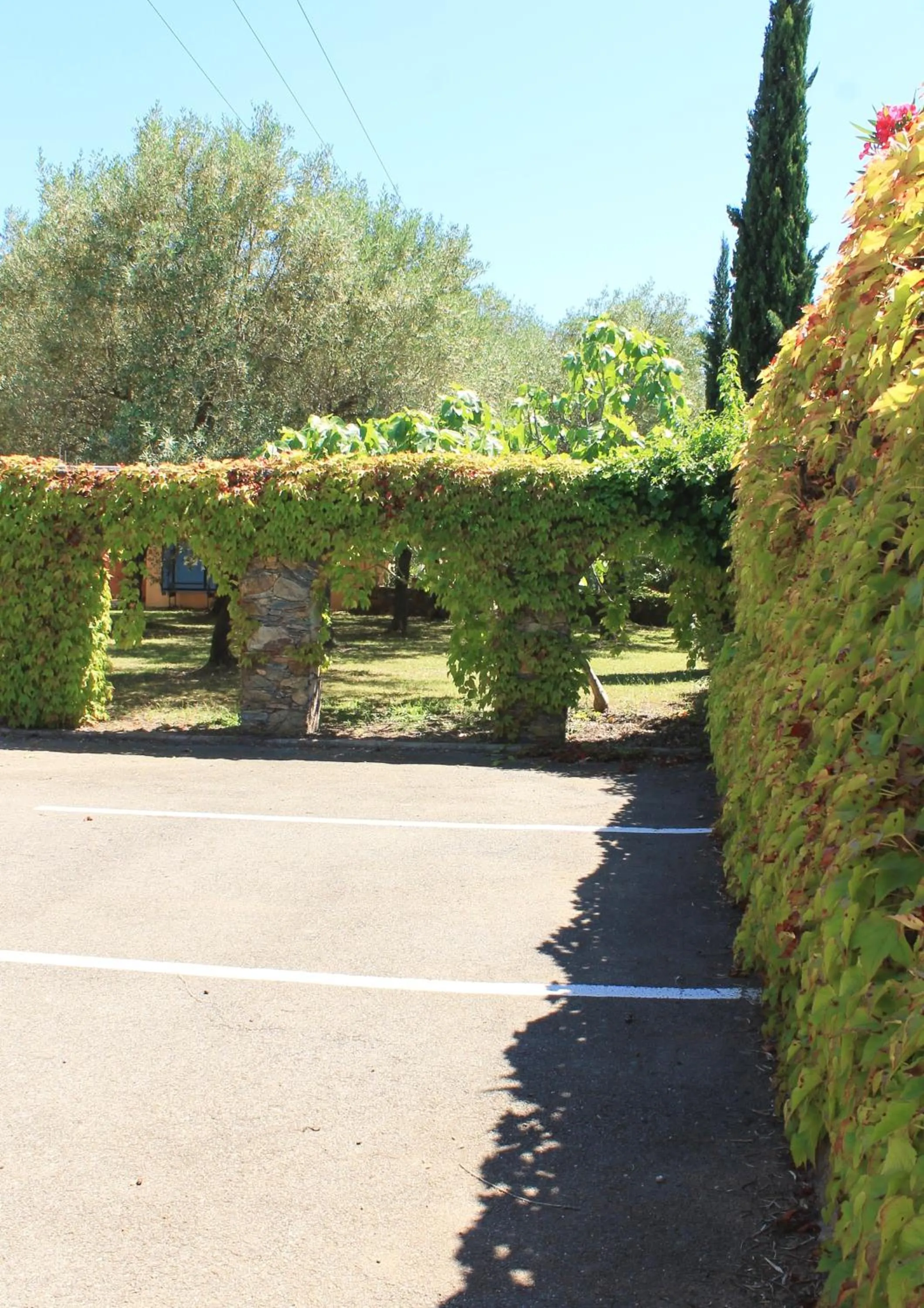 Domaine Le Clos des Oliviers