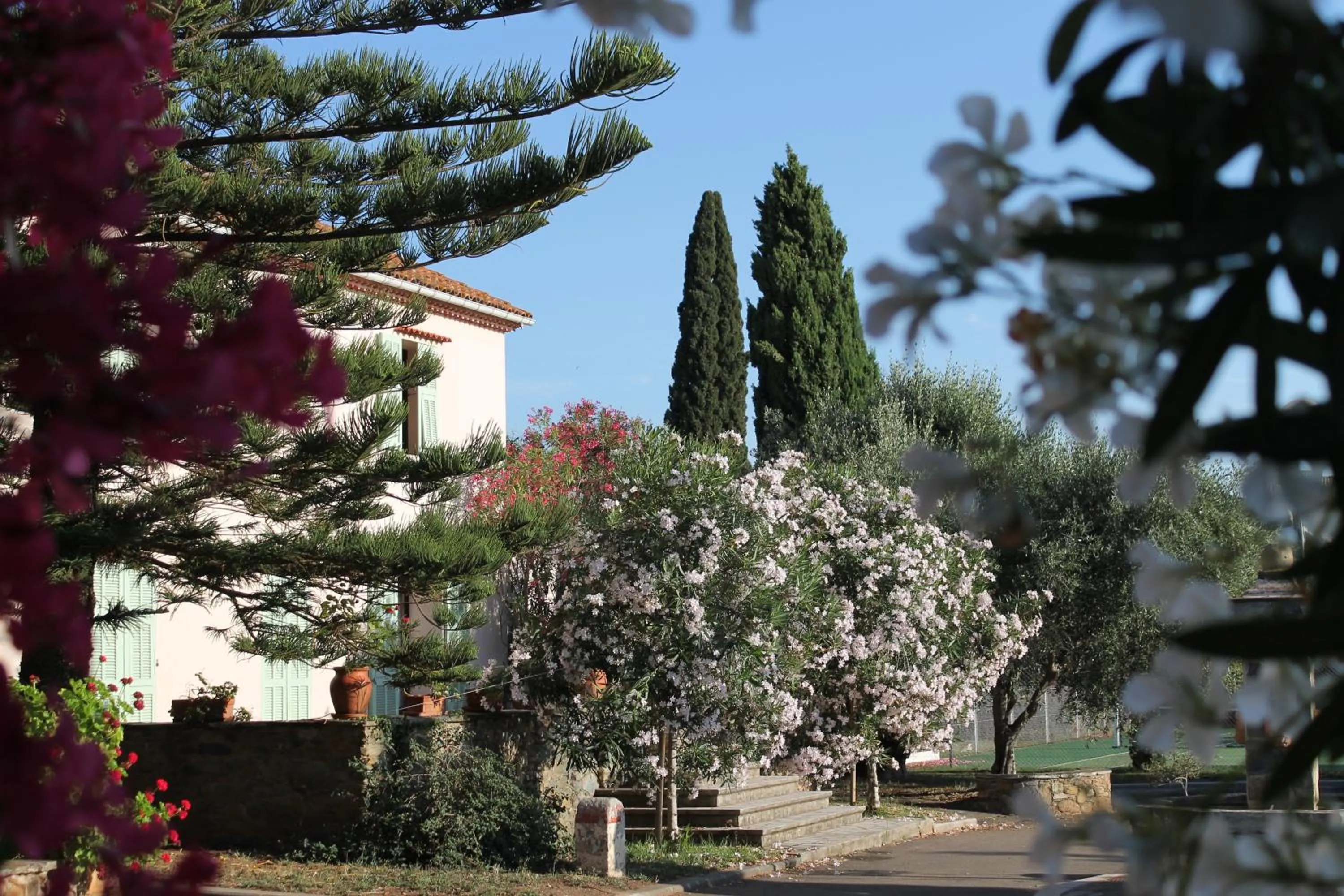 Facade/entrance in Domaine Le Clos des Oliviers