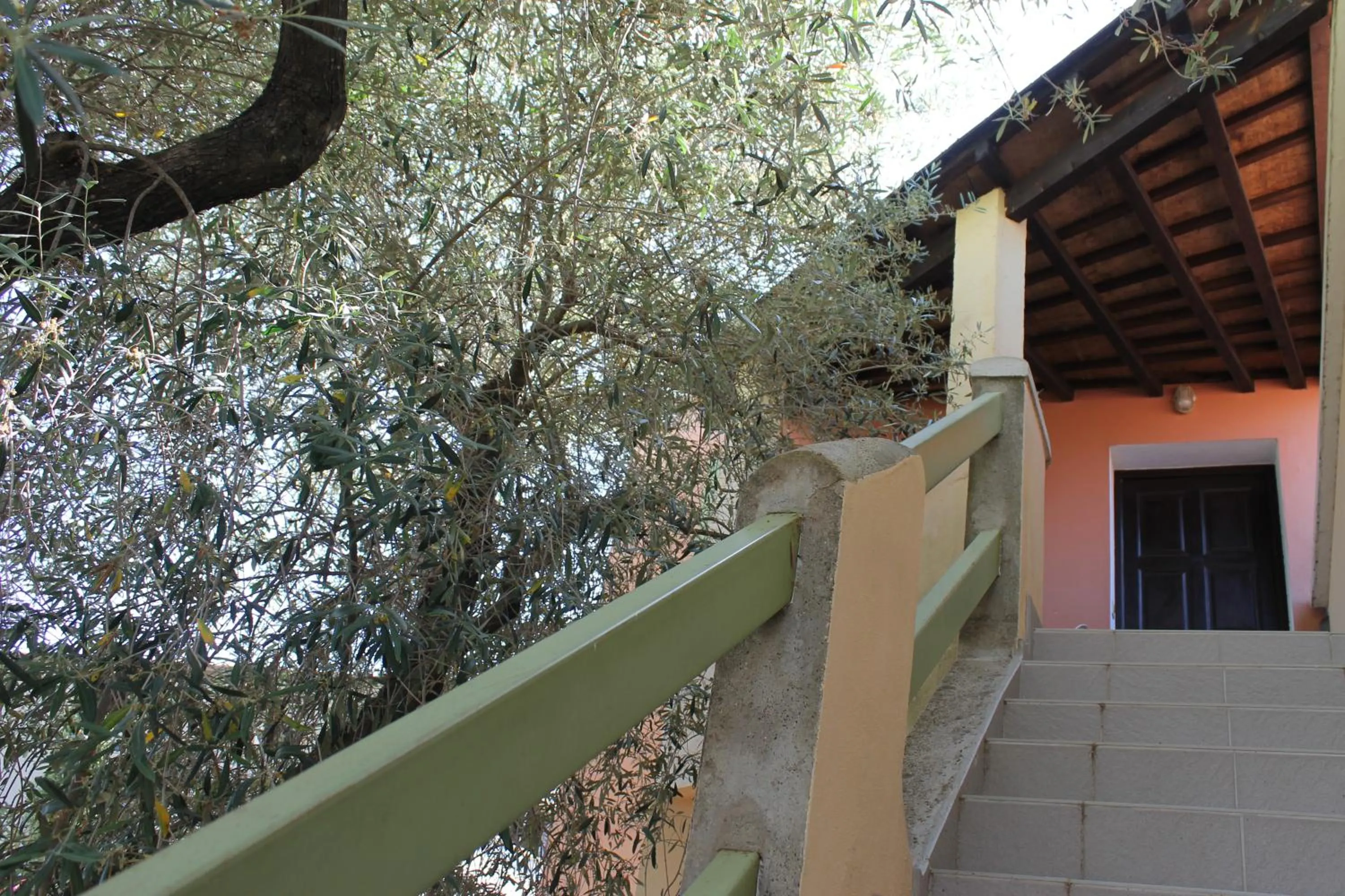 Garden view in Domaine Le Clos des Oliviers