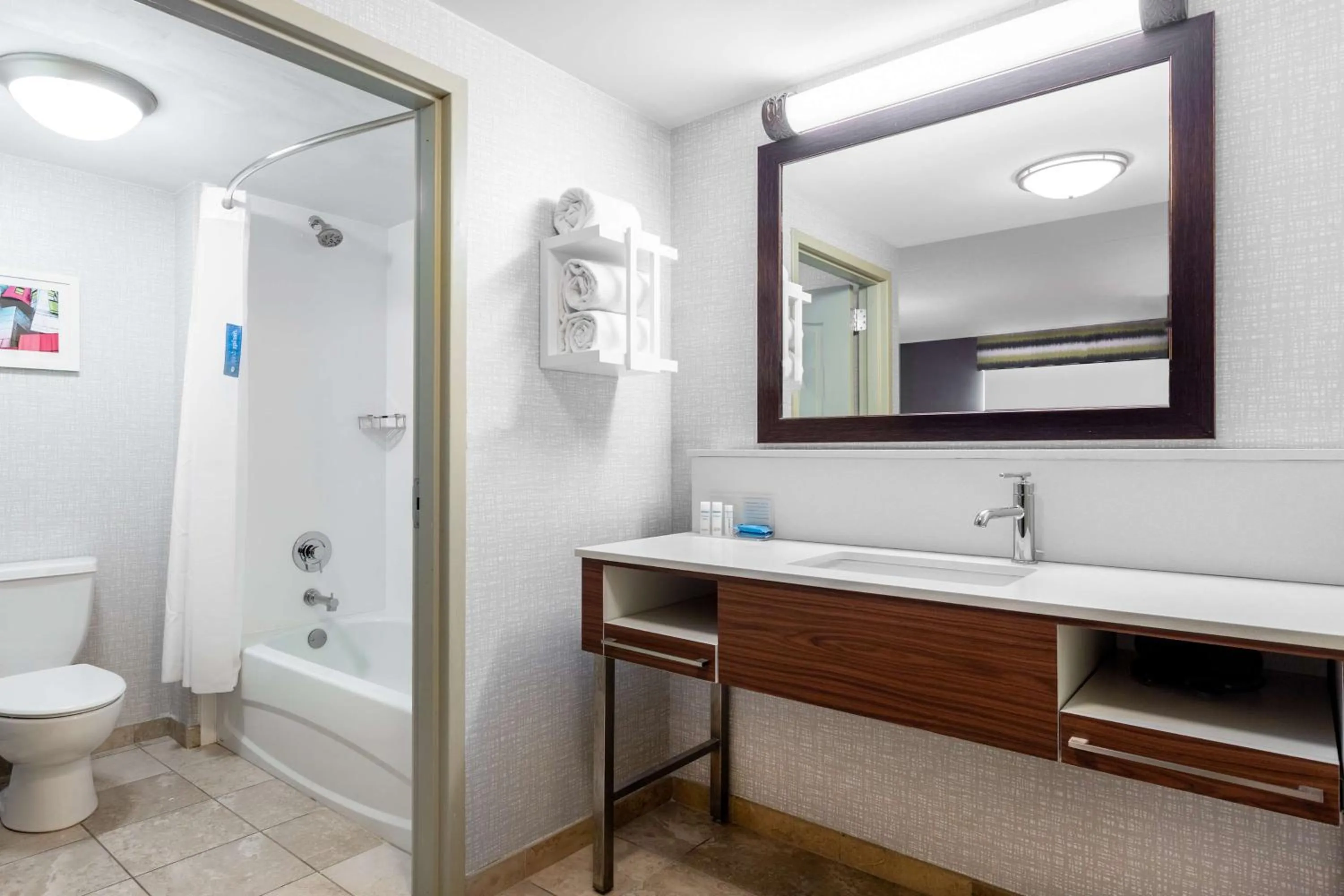 Bathroom in Hampton Inn & Suites Minneapolis St. Paul Airport - Mall of America