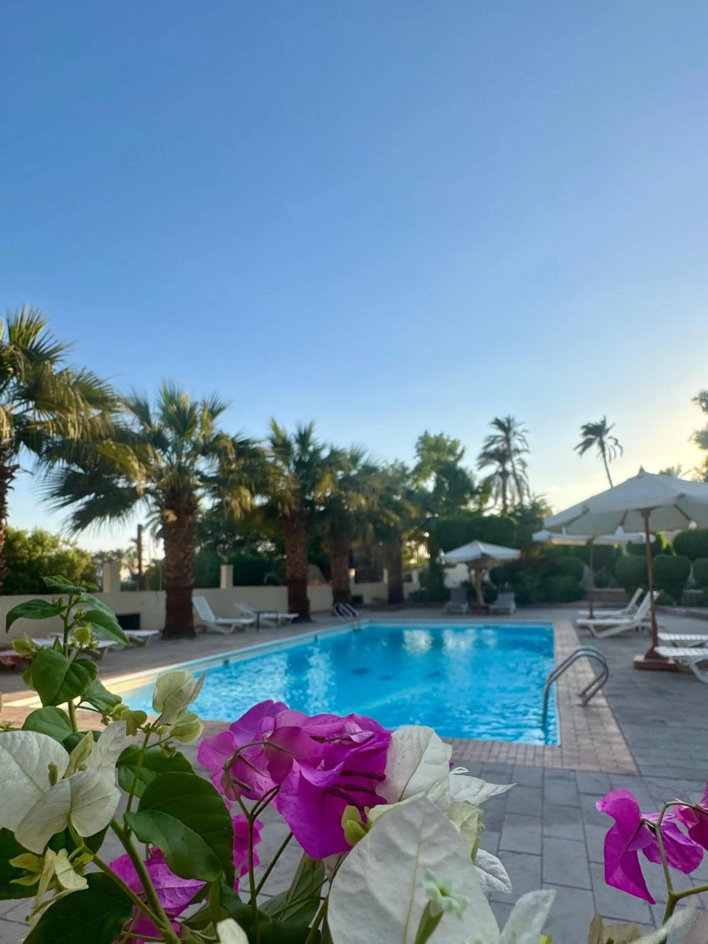 Hotel Sheherazade Luxor