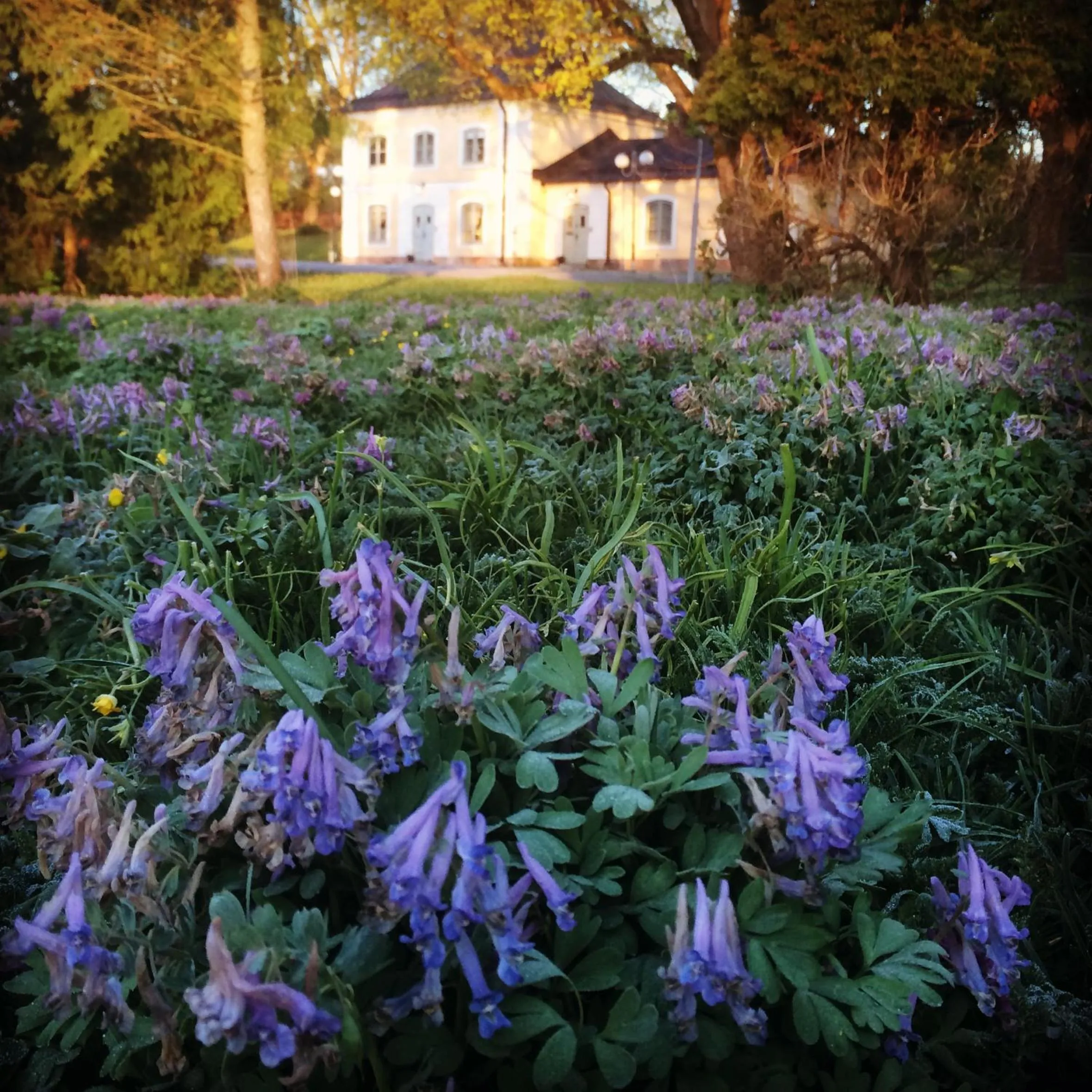Facade/entrance in Åkeshofs Slott