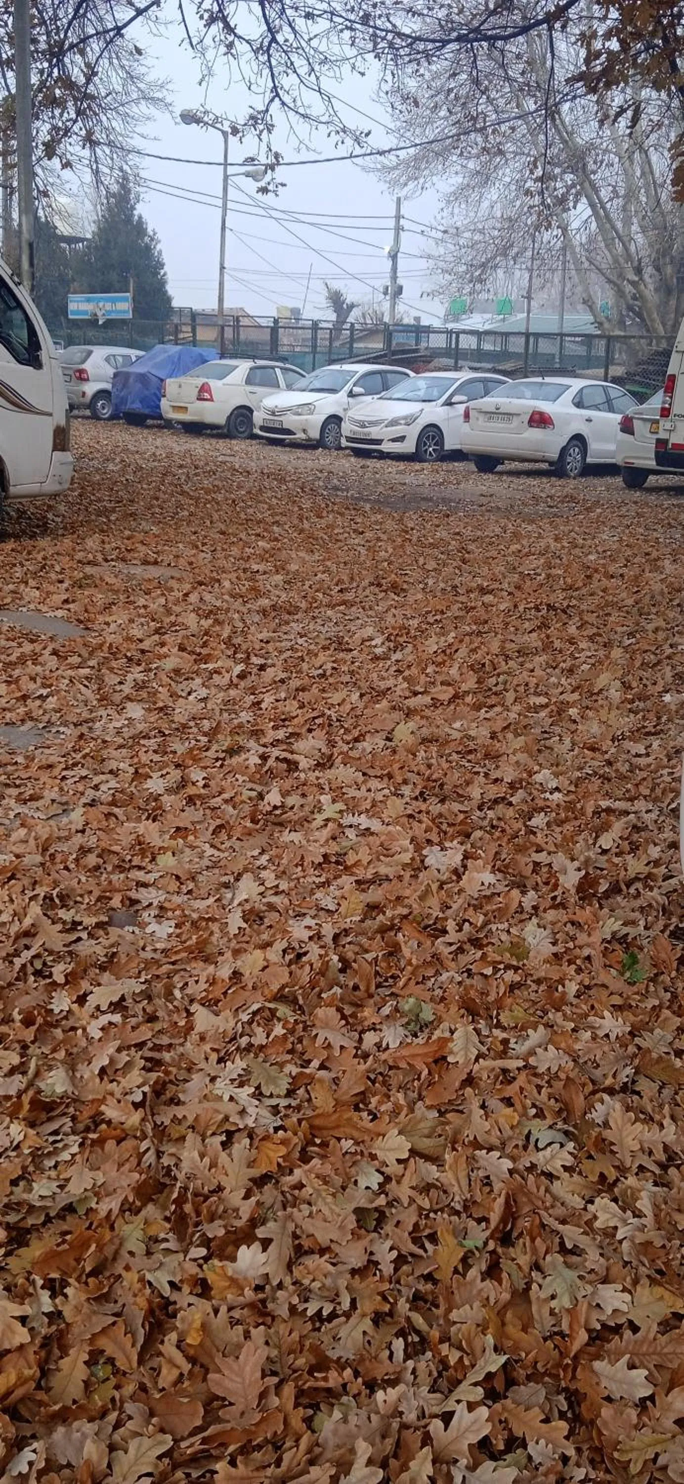 Maharaja palace houseboat