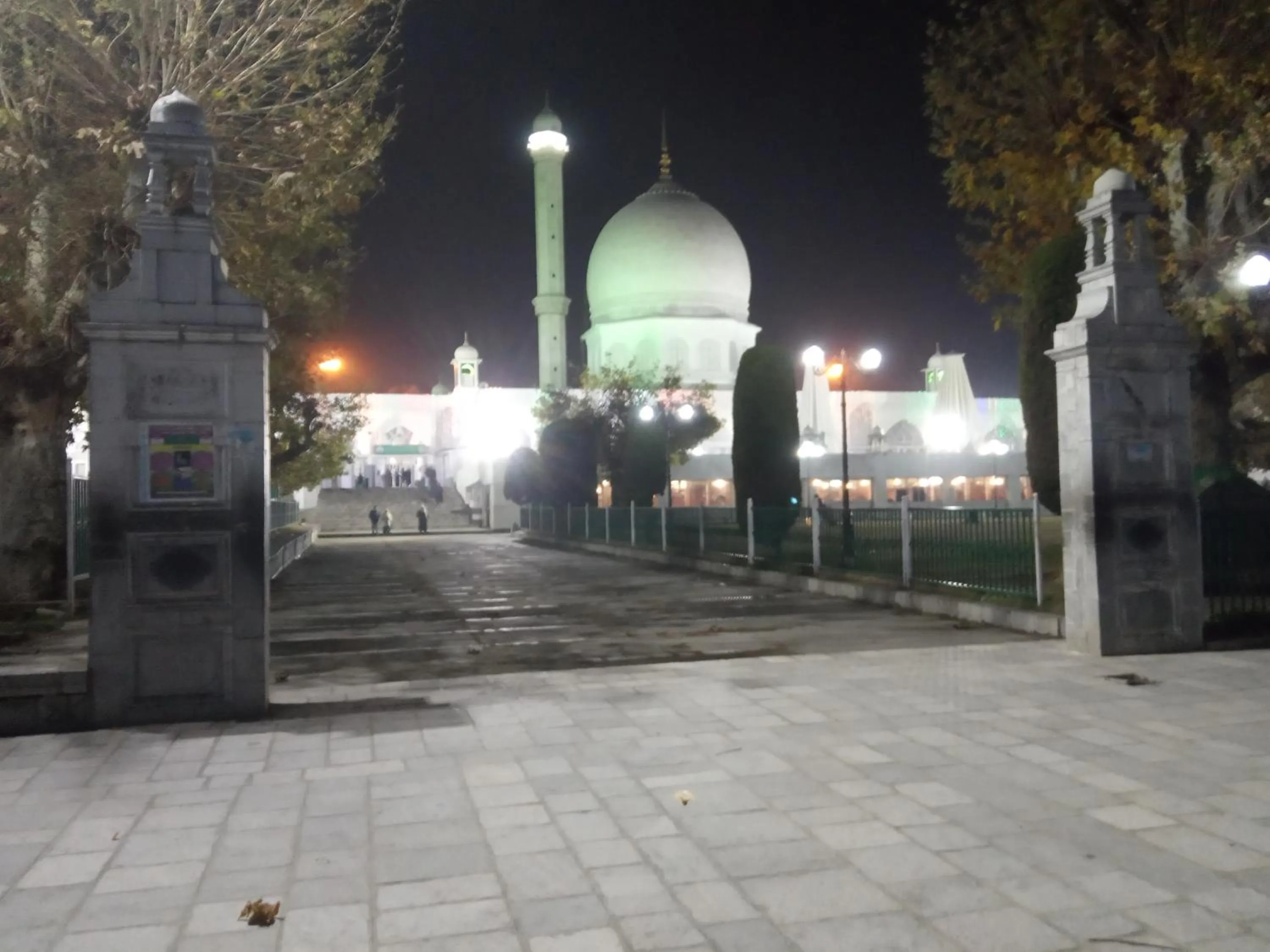 Maharaja palace houseboat