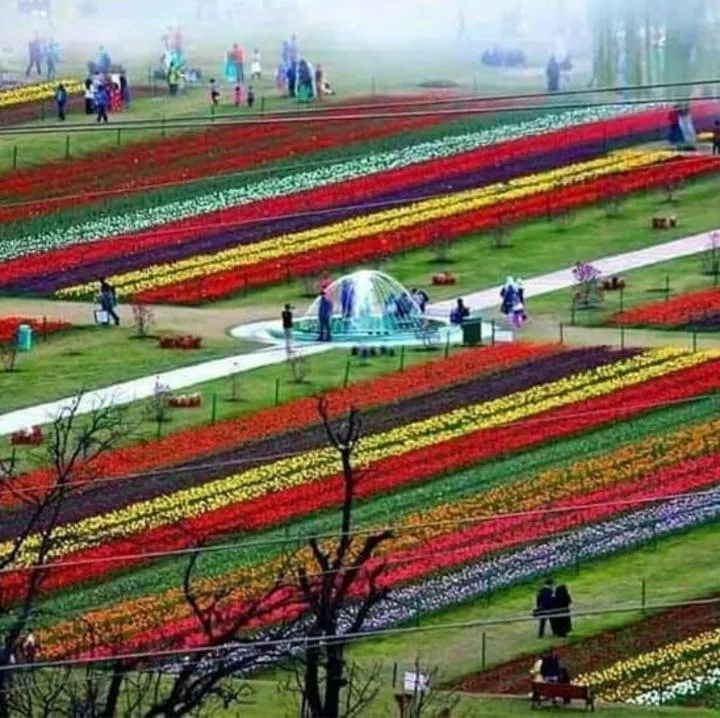 Maharaja palace houseboat