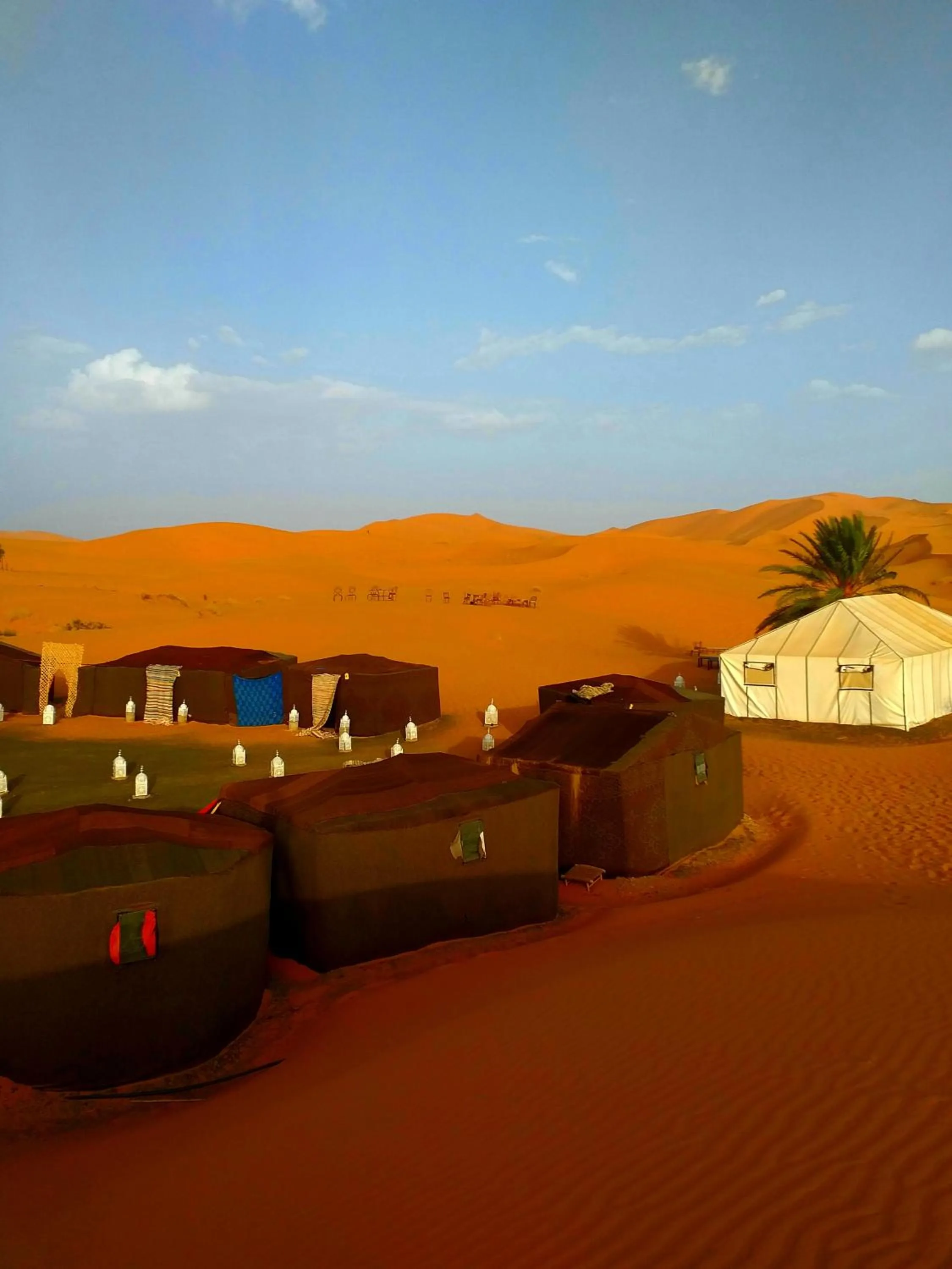 Neighbourhood in Auberge Camping Ocean des dunes