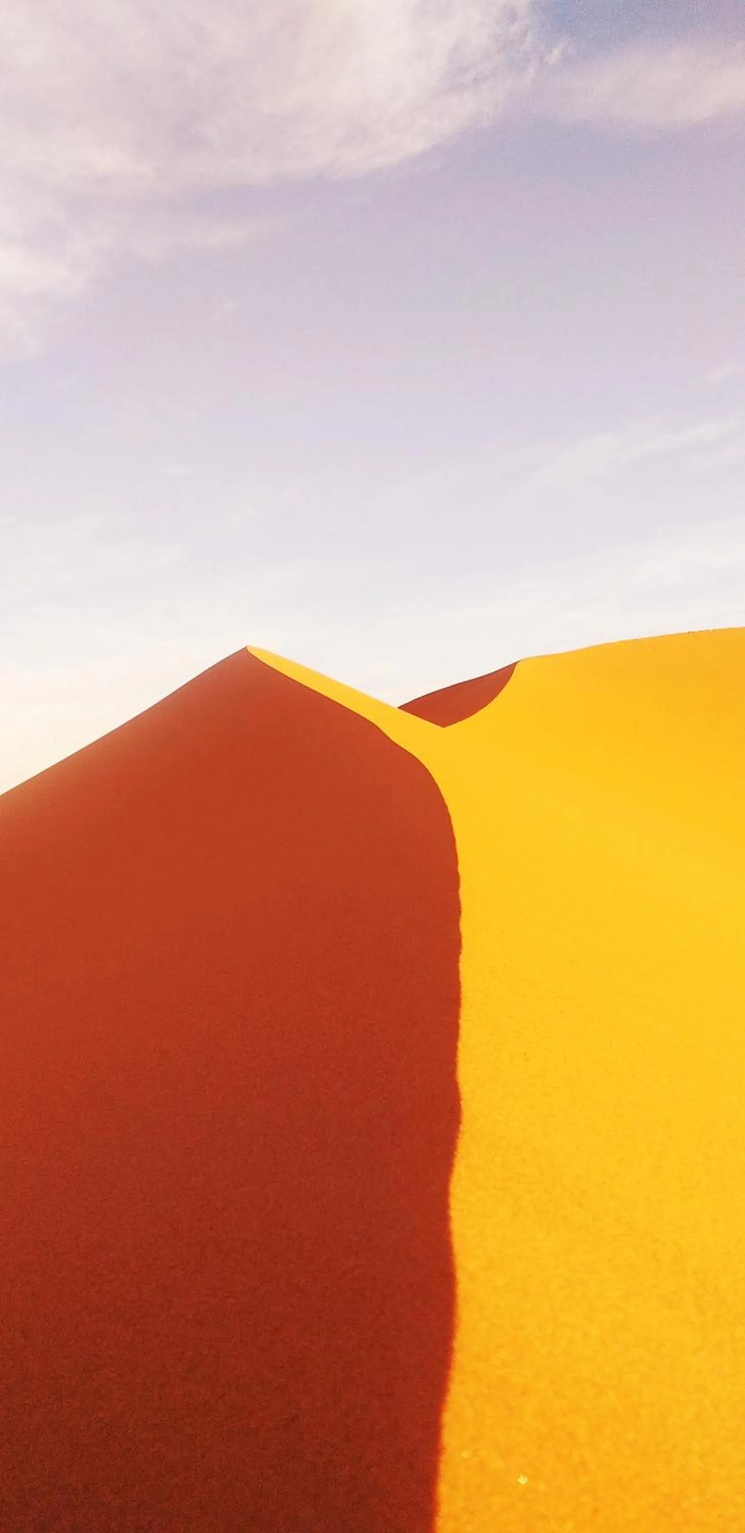 Natural landscape in Auberge Camping Ocean des dunes