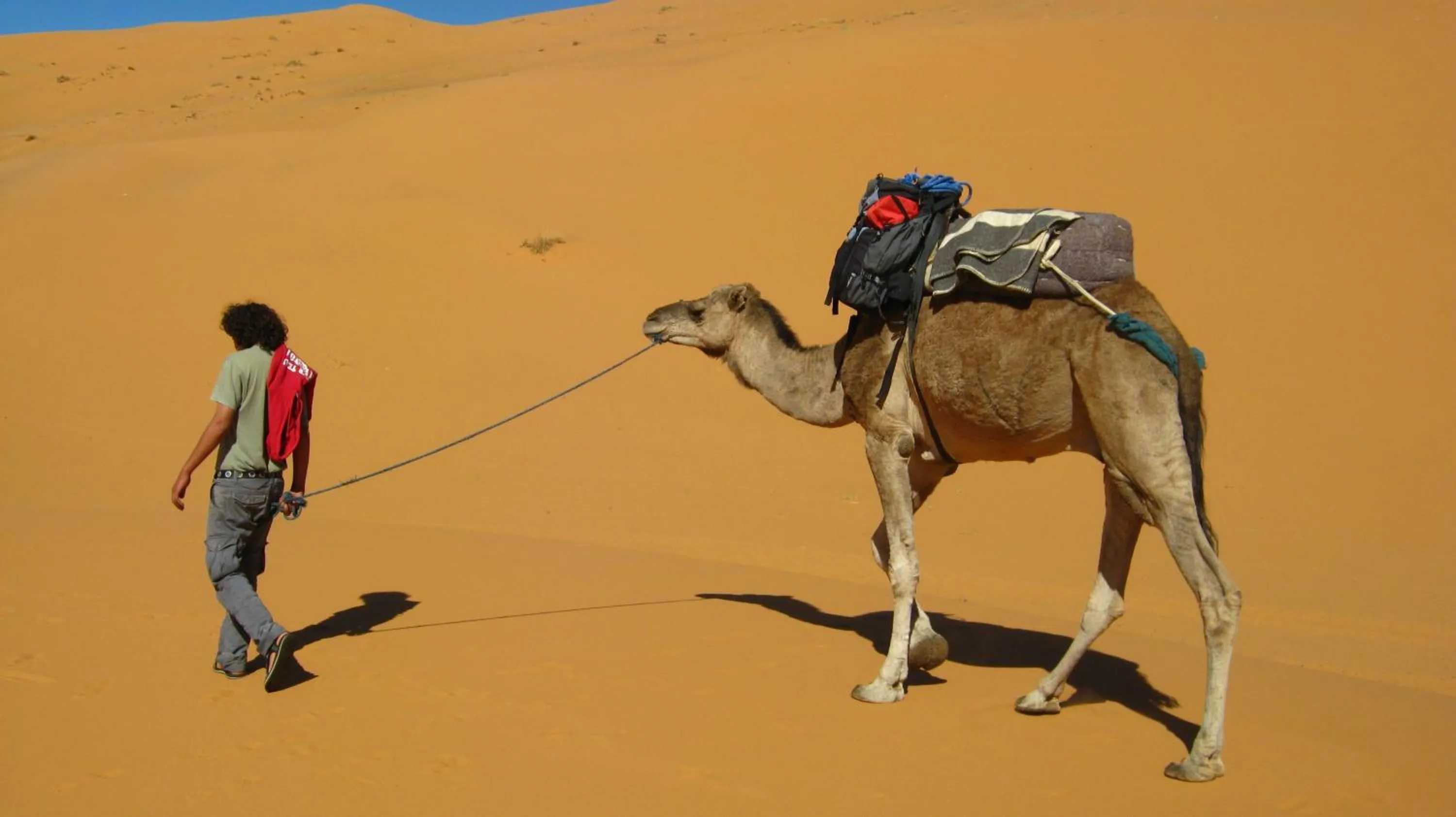 Staff in Auberge Camping Ocean des dunes