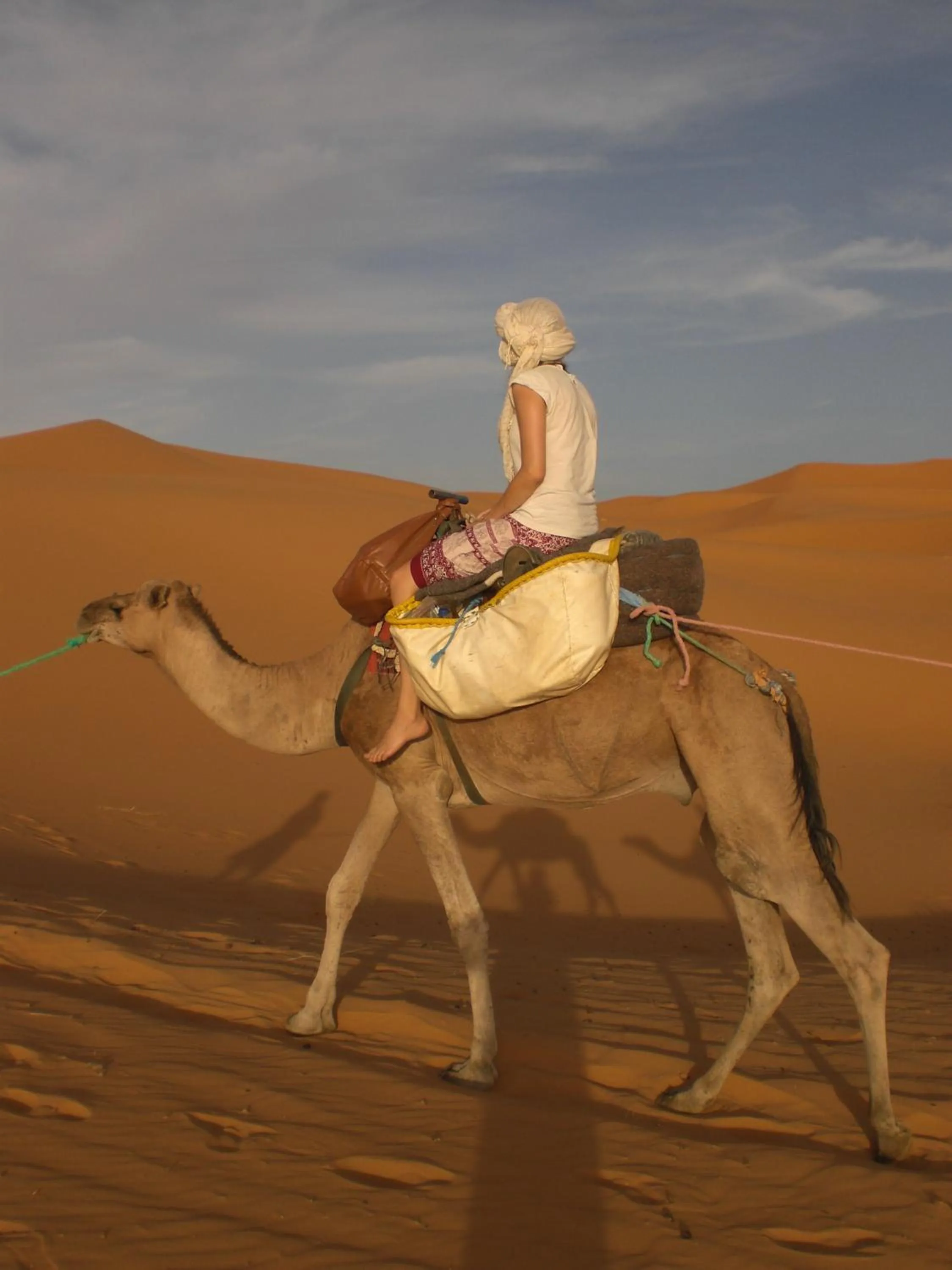 Activities in Auberge Camping Ocean des dunes