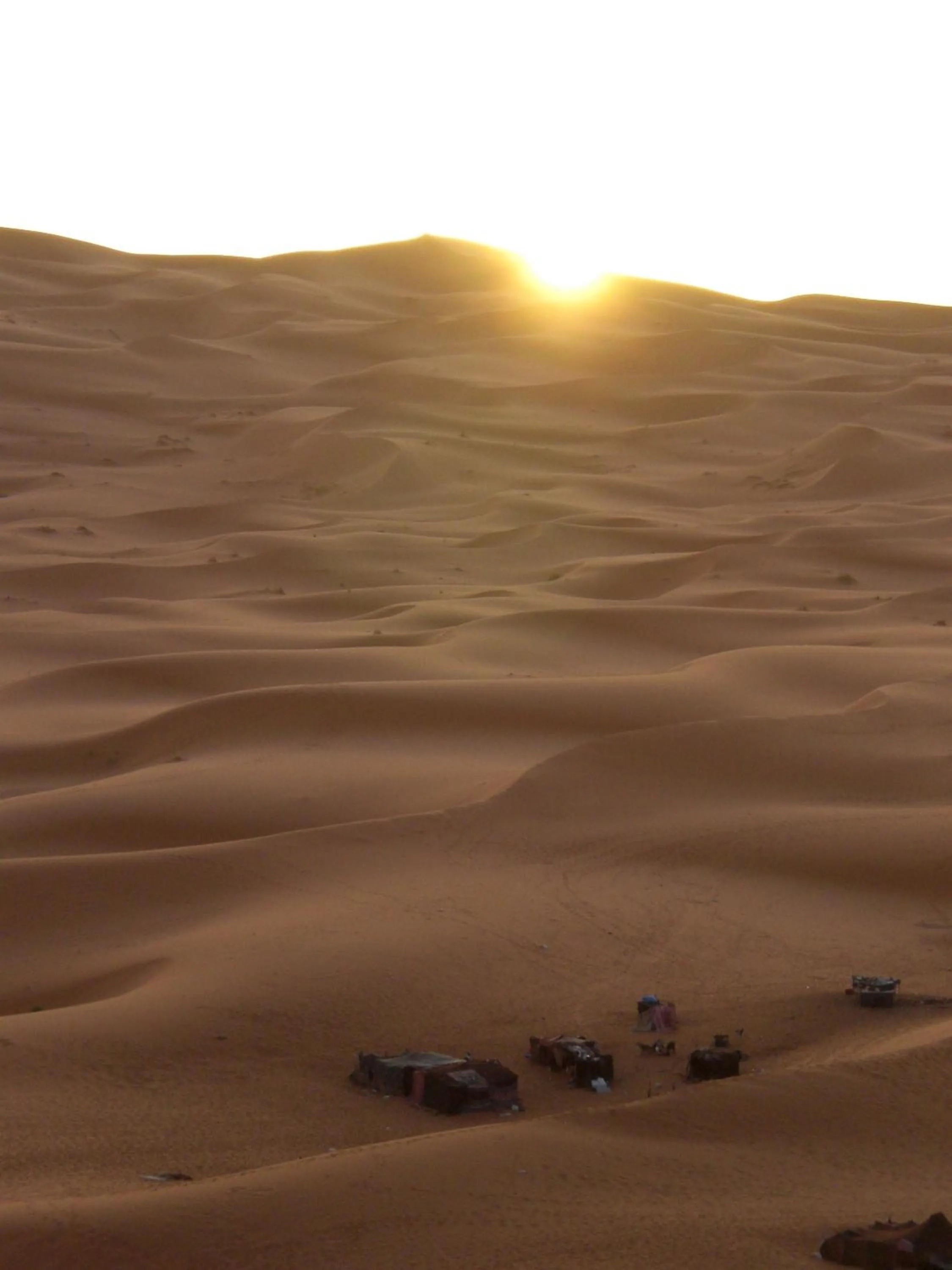 Activities in Auberge Camping Ocean des dunes