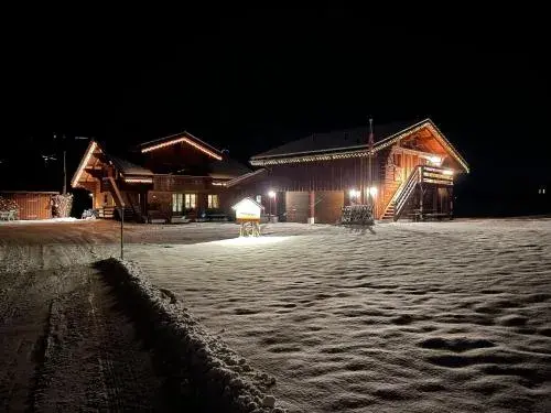 Weidhaus Bunk Bed Room in Alpenchalet Weidhaus Gstaad - Dachwohnung - Studio - Stockbettzimmer Weidhaus Bunk Bed Room in Alpenchalet Weidhaus Gstaad - Dachwohnung - Studio - Stockbettzimmer