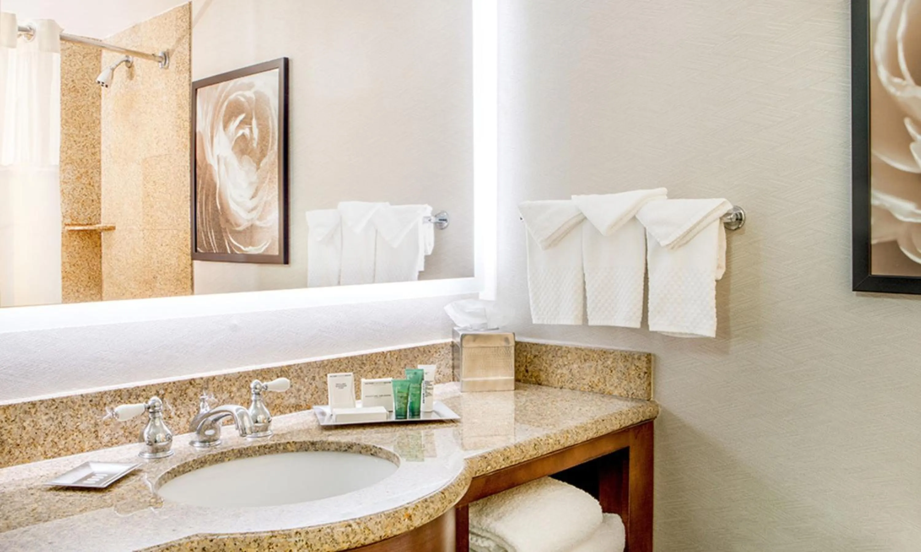 Bathroom in Hilton Wilmington/Christiana