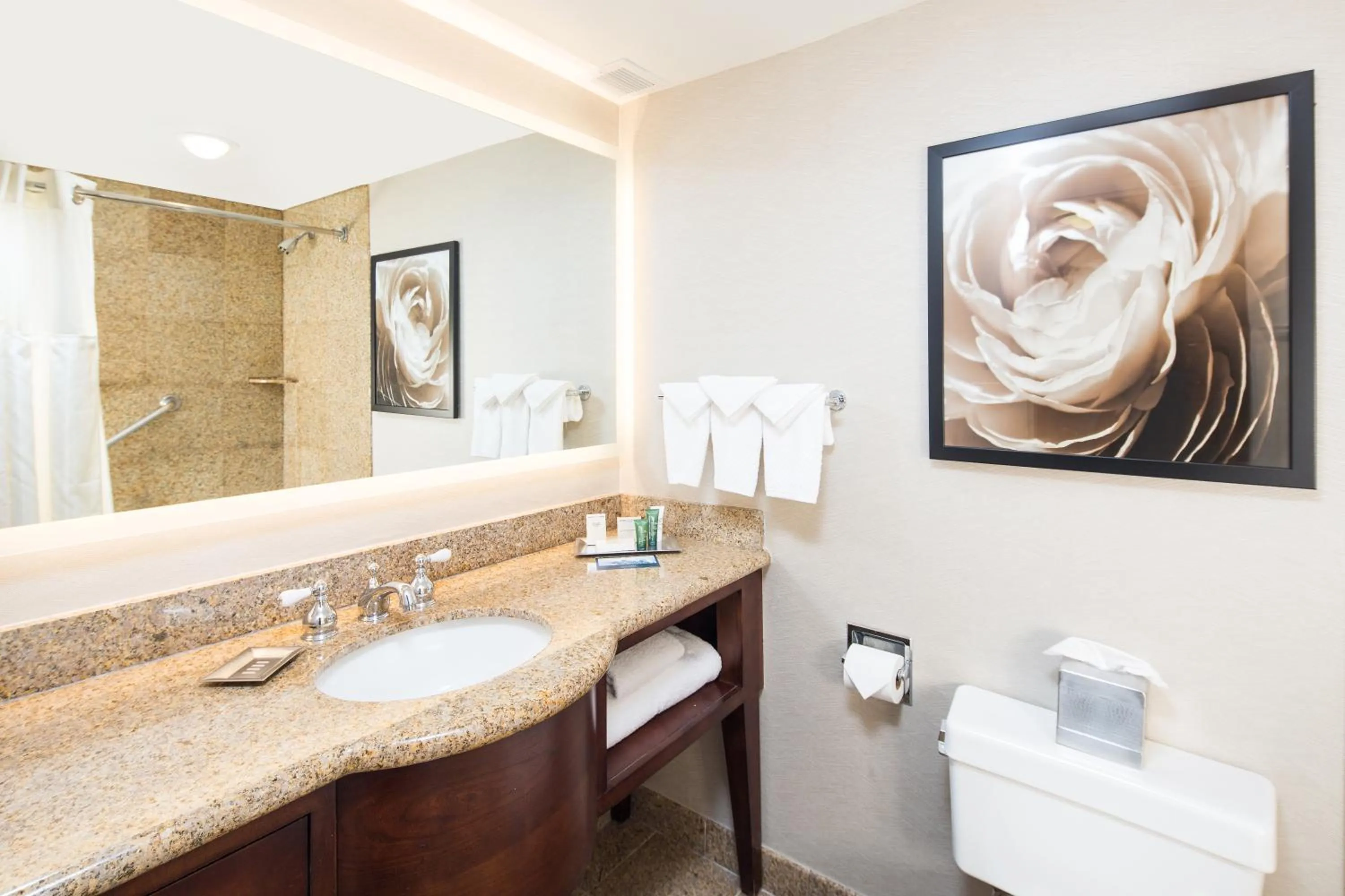 Toilet in Hilton Wilmington/Christiana