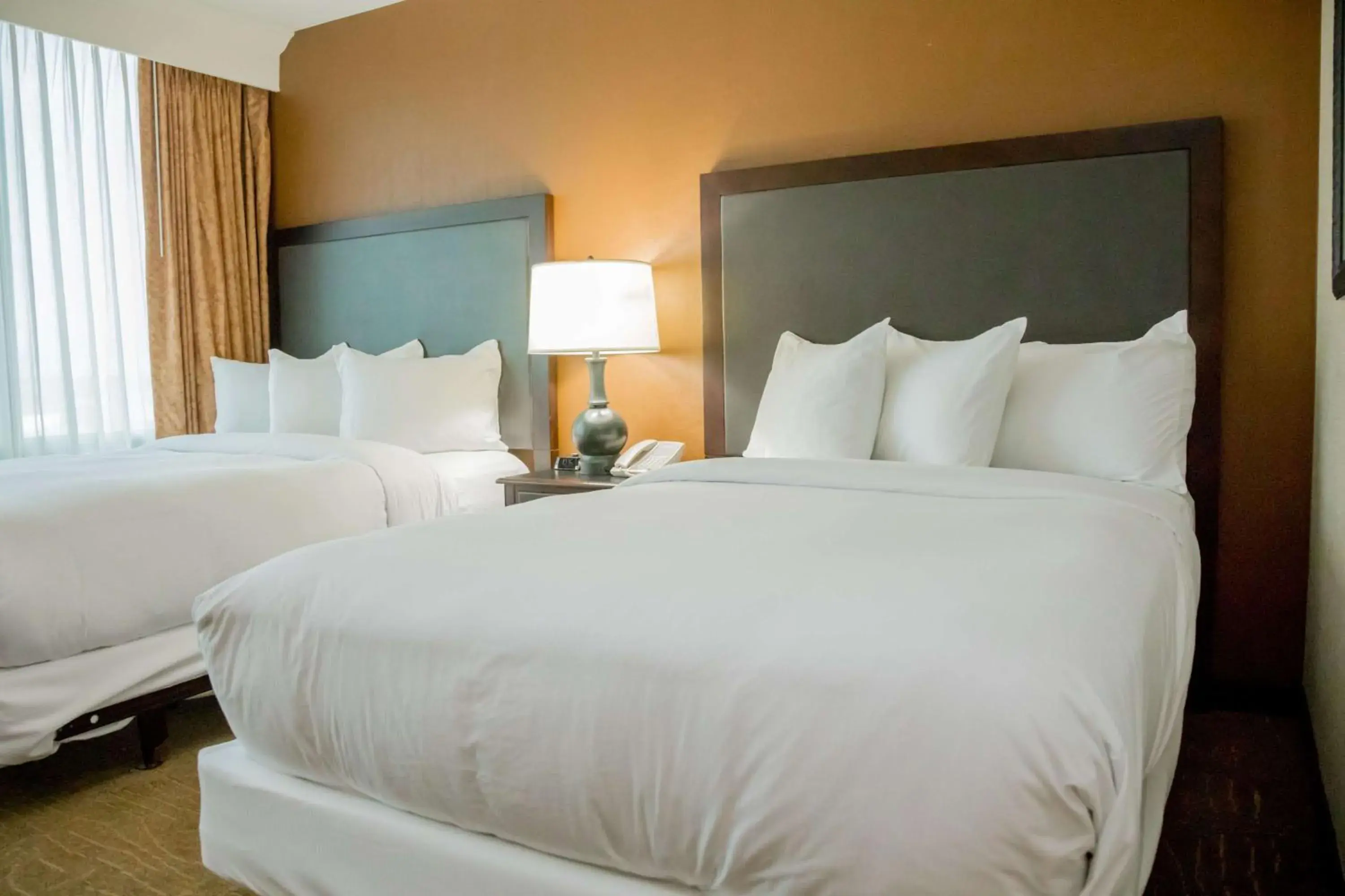 Bed in Embassy Suites by Hilton Lexington Green Bed in Embassy Suites by Hilton Lexington Green