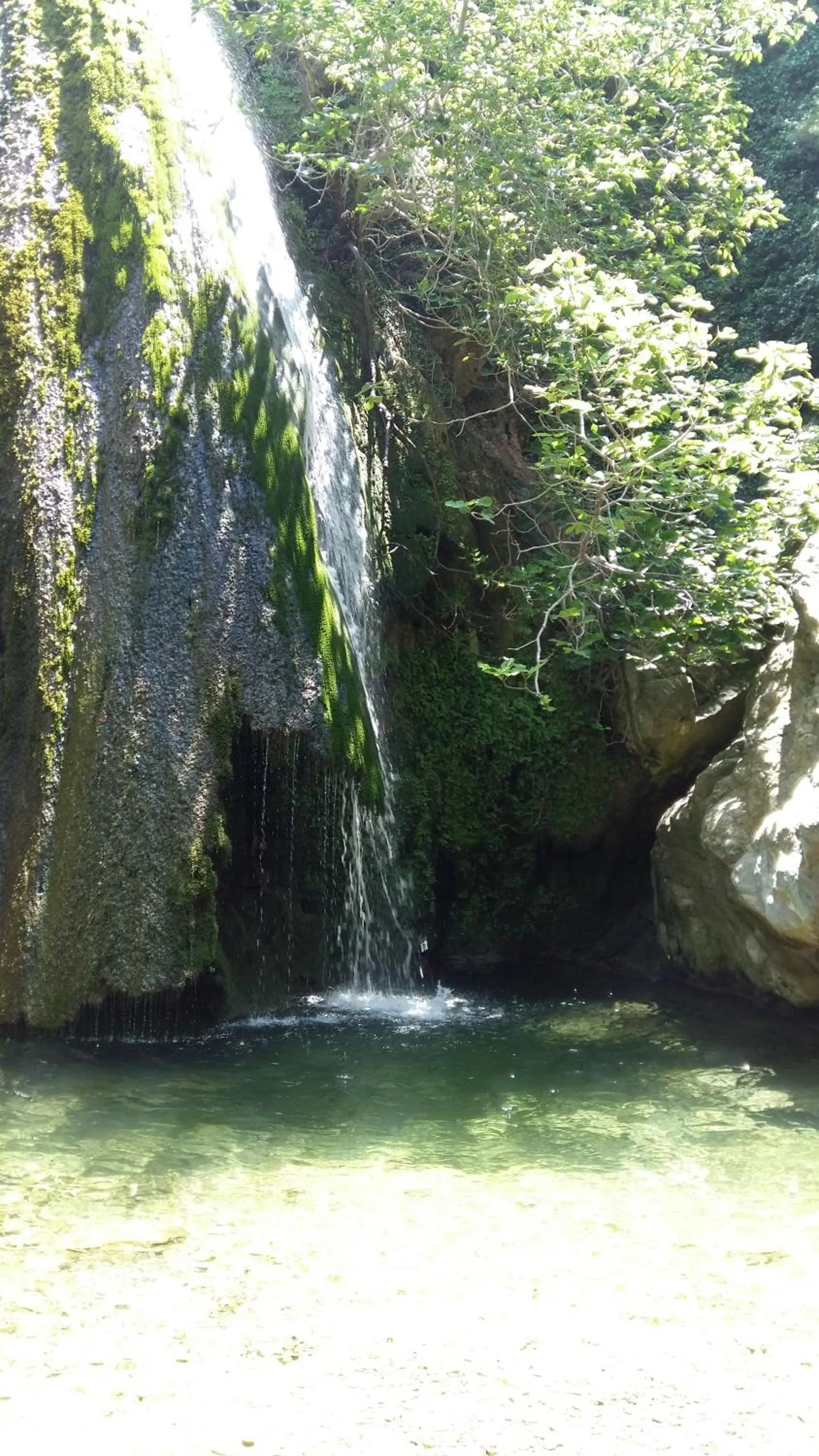 Spring in Nora Hotel