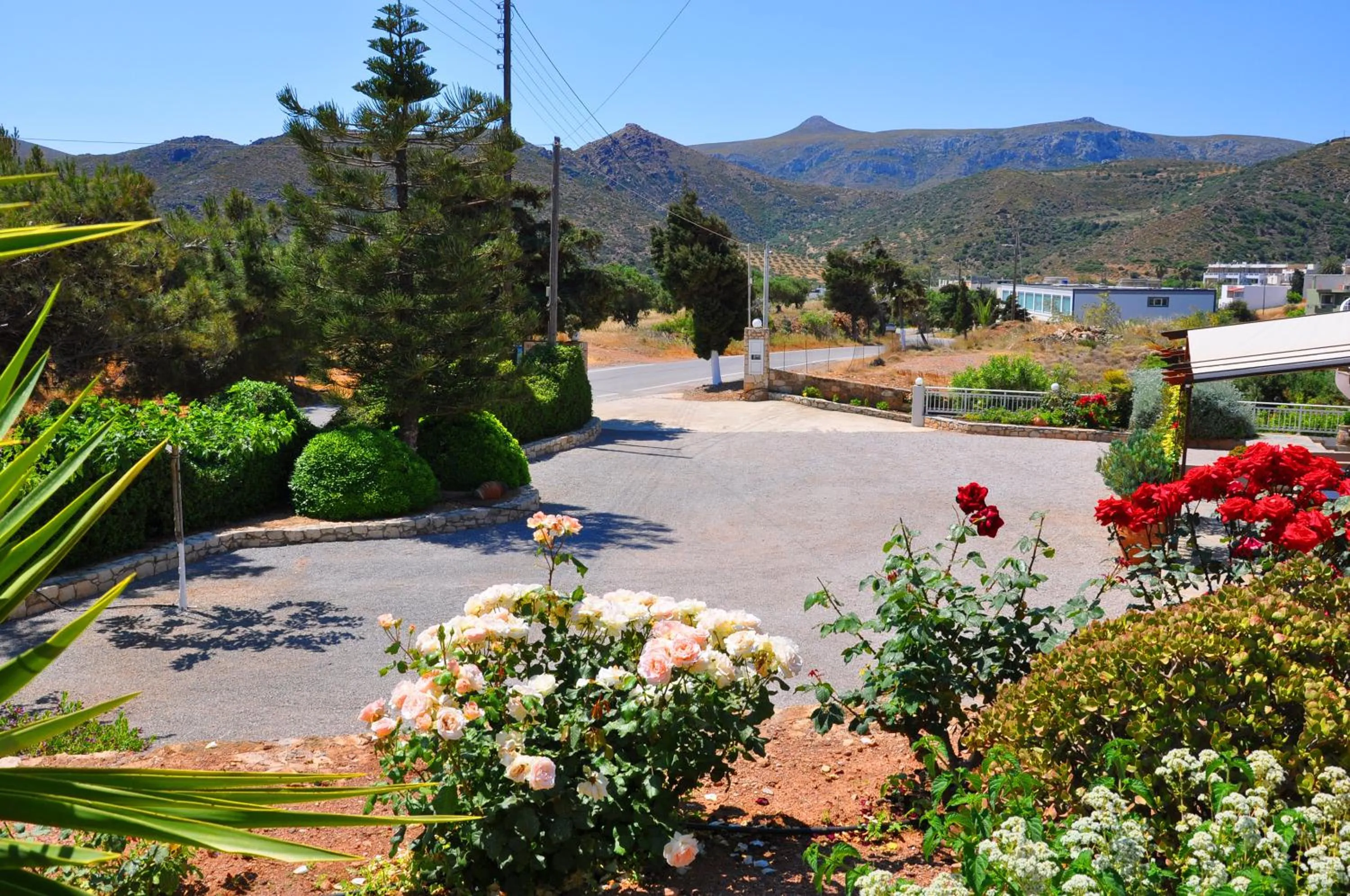 Lagos Studios & Apartments