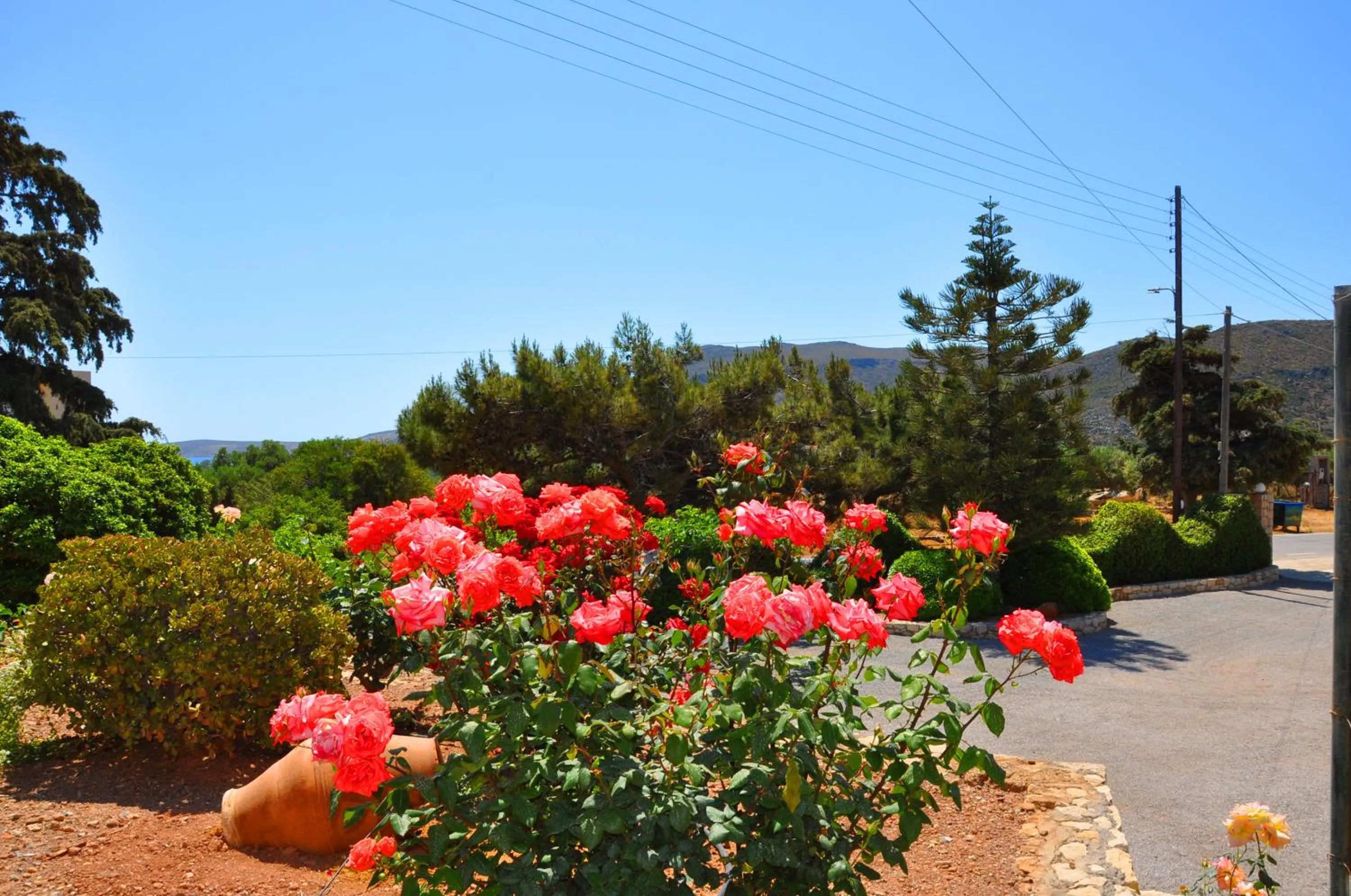 Lagos Studios & Apartments