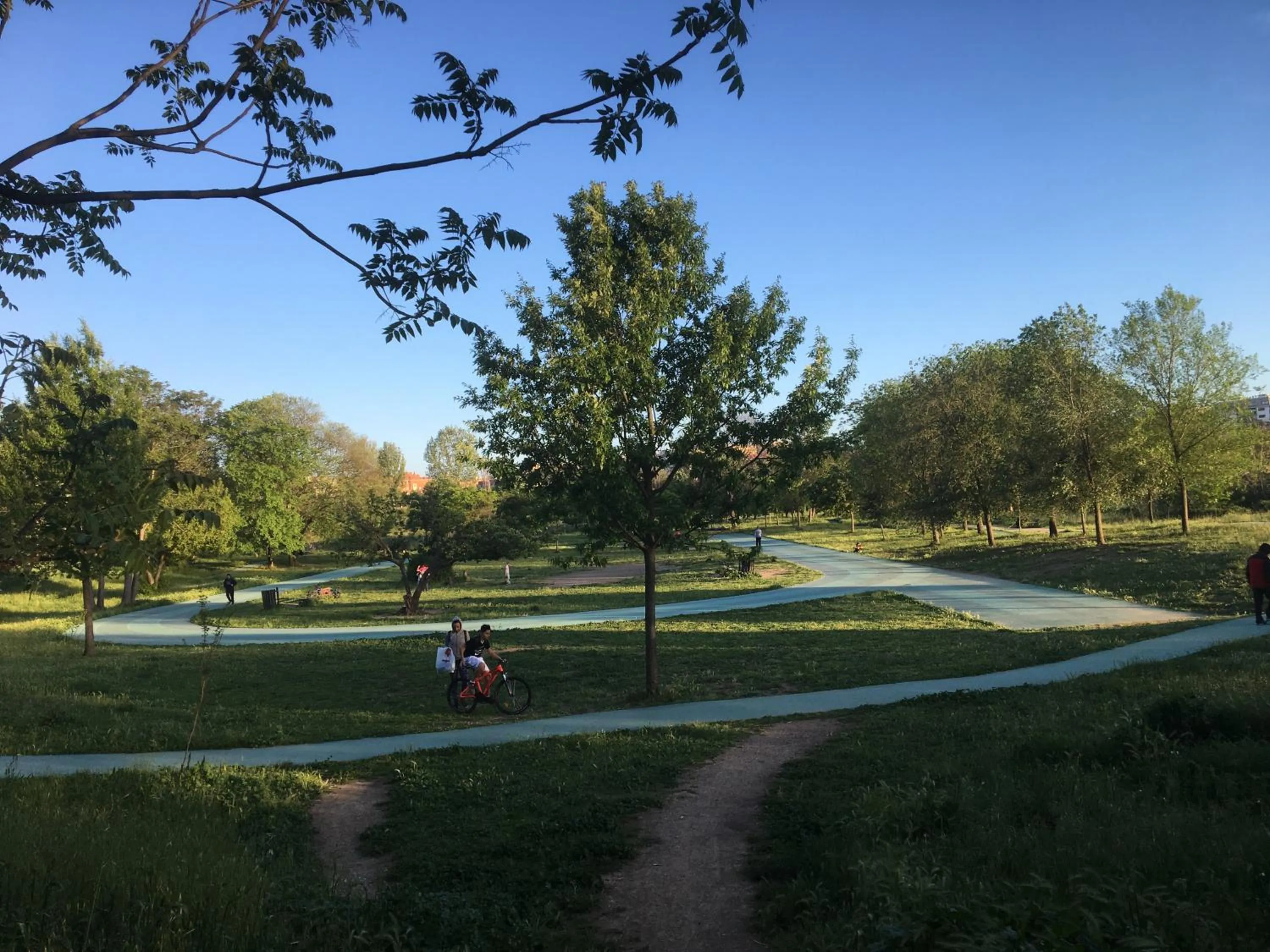 GLI ARANCI Apartment