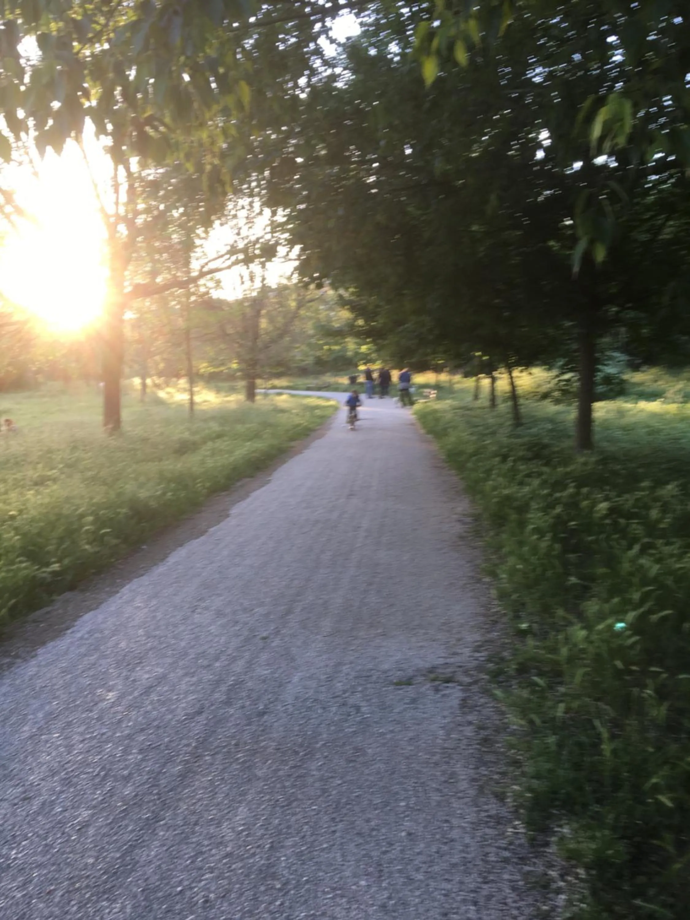 GLI ARANCI Apartment