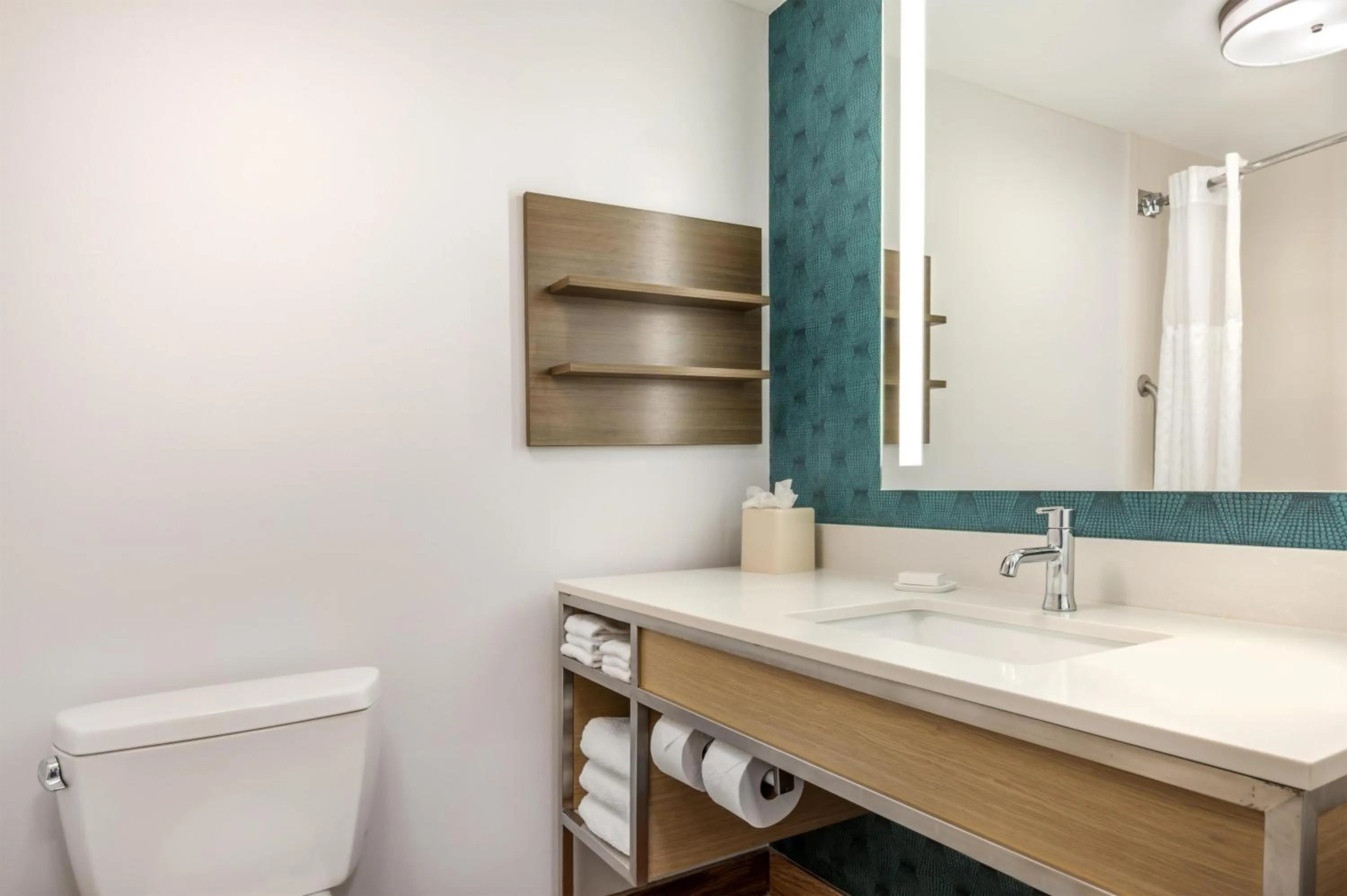 Bathroom in Hilton Garden Inn Wisconsin Dells