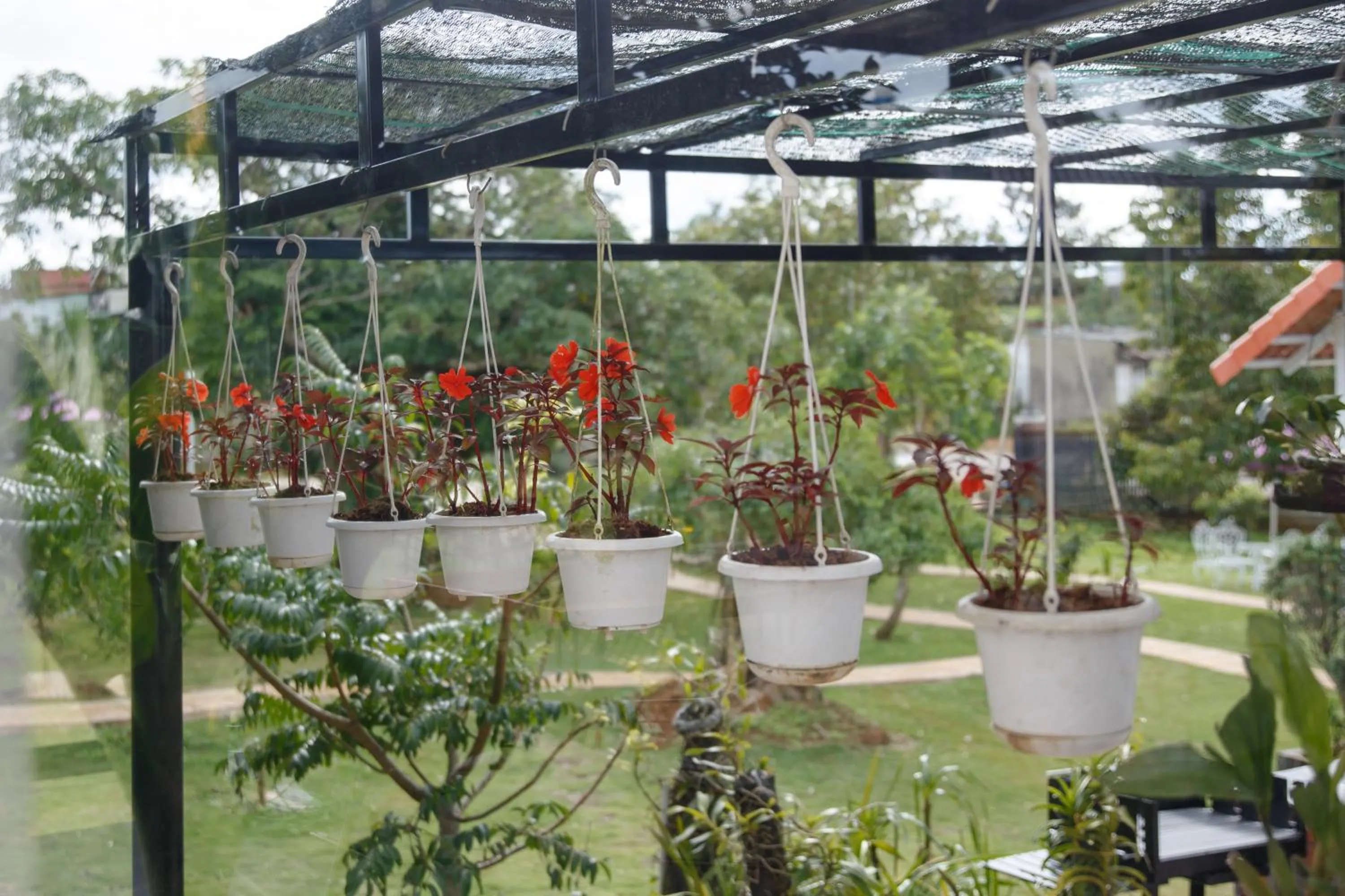 Day in Hoang Dinh Homestay