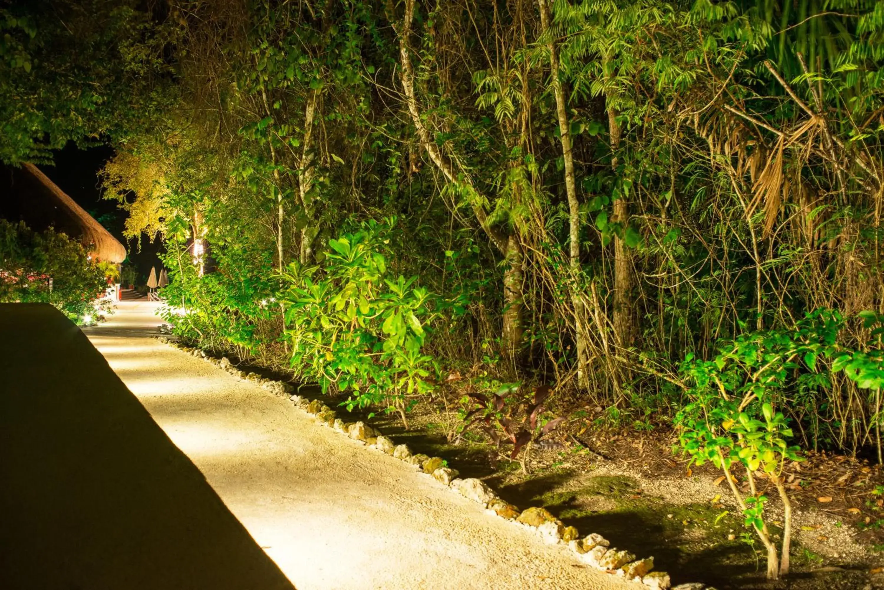 Property building in The Explorean Selva Maya Kohunlich Property building in The Explorean Selva Maya Kohunlich