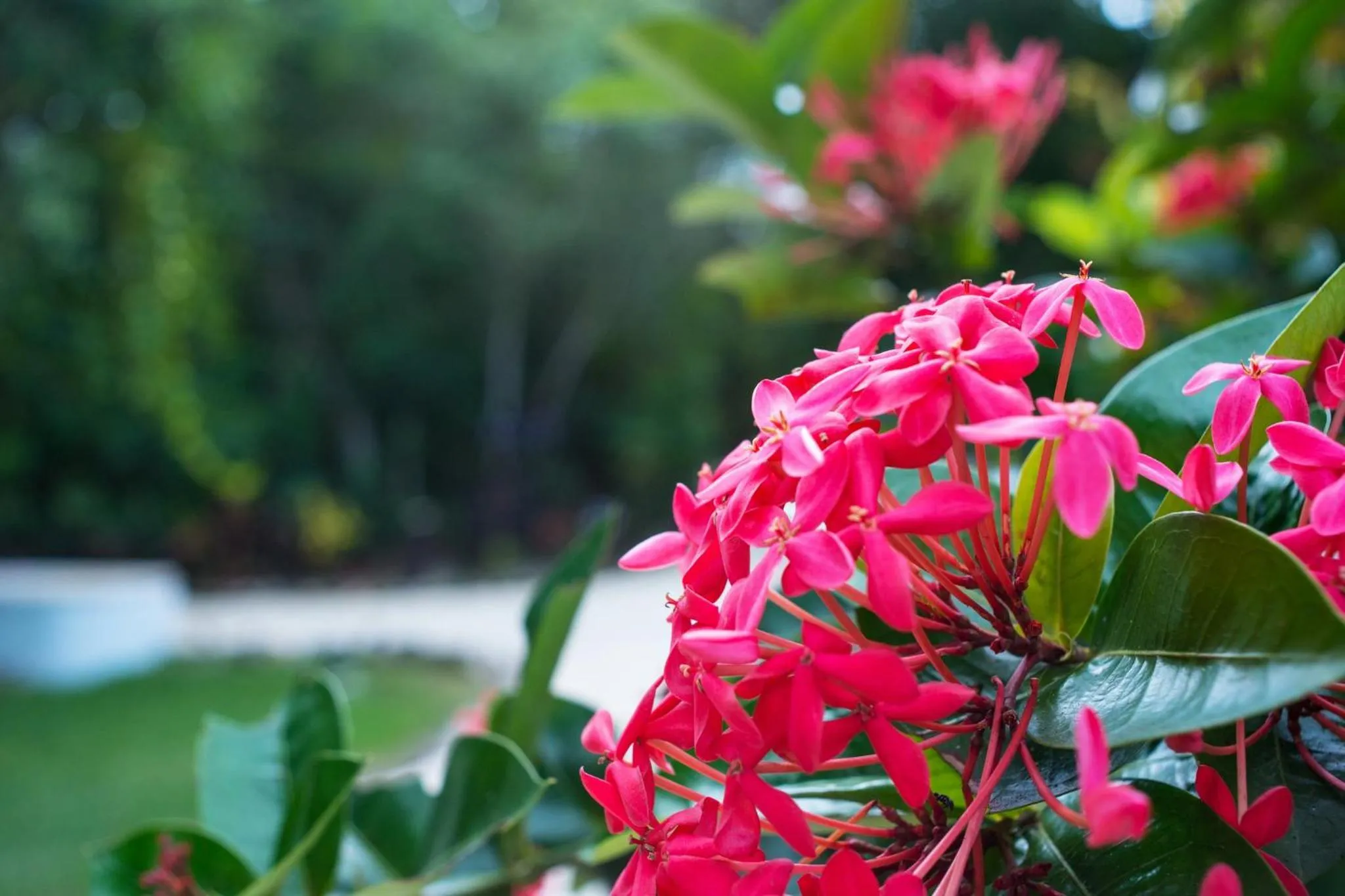 Property building in The Explorean Selva Maya Kohunlich