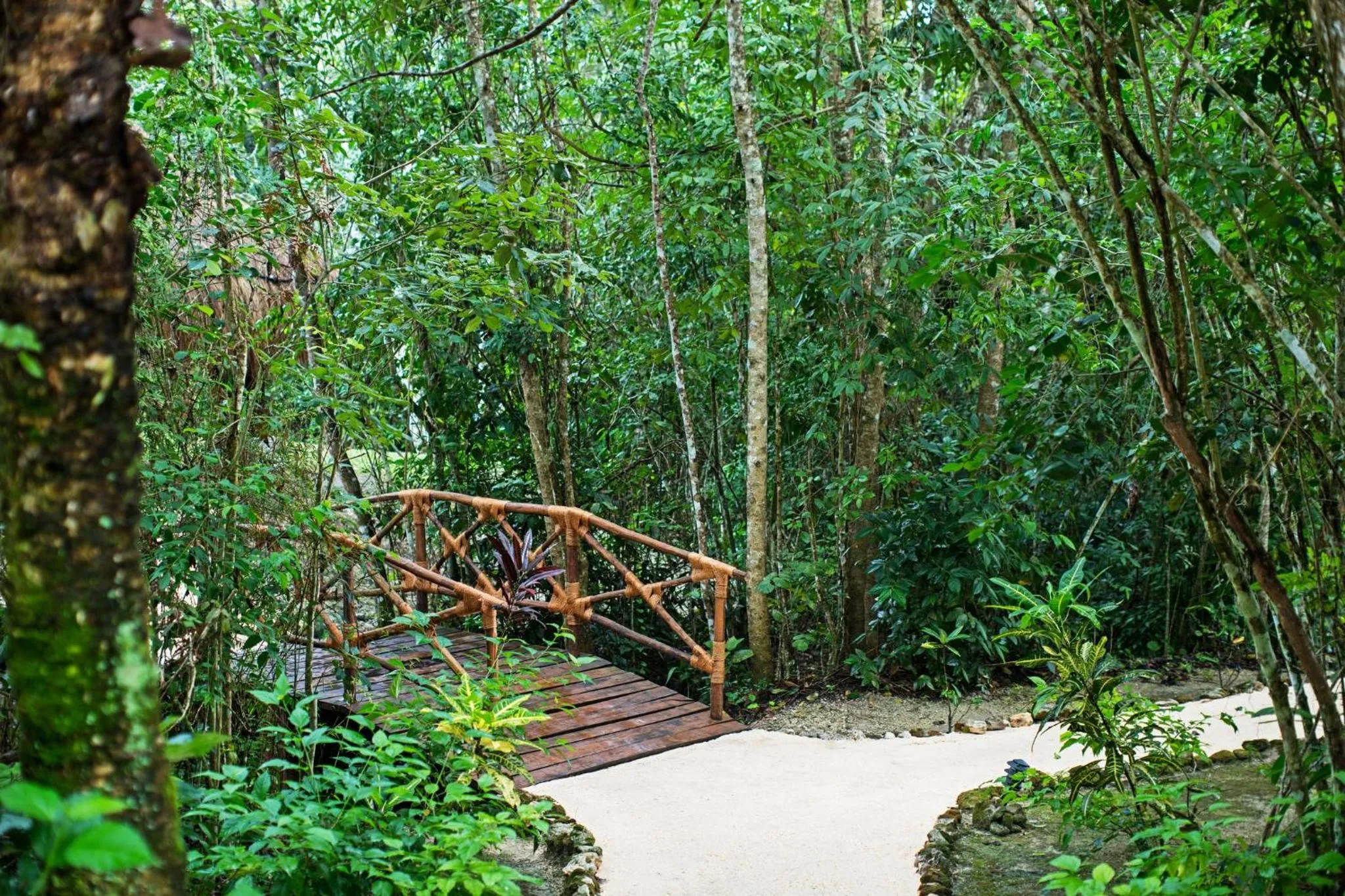 Property building in The Explorean Selva Maya Kohunlich