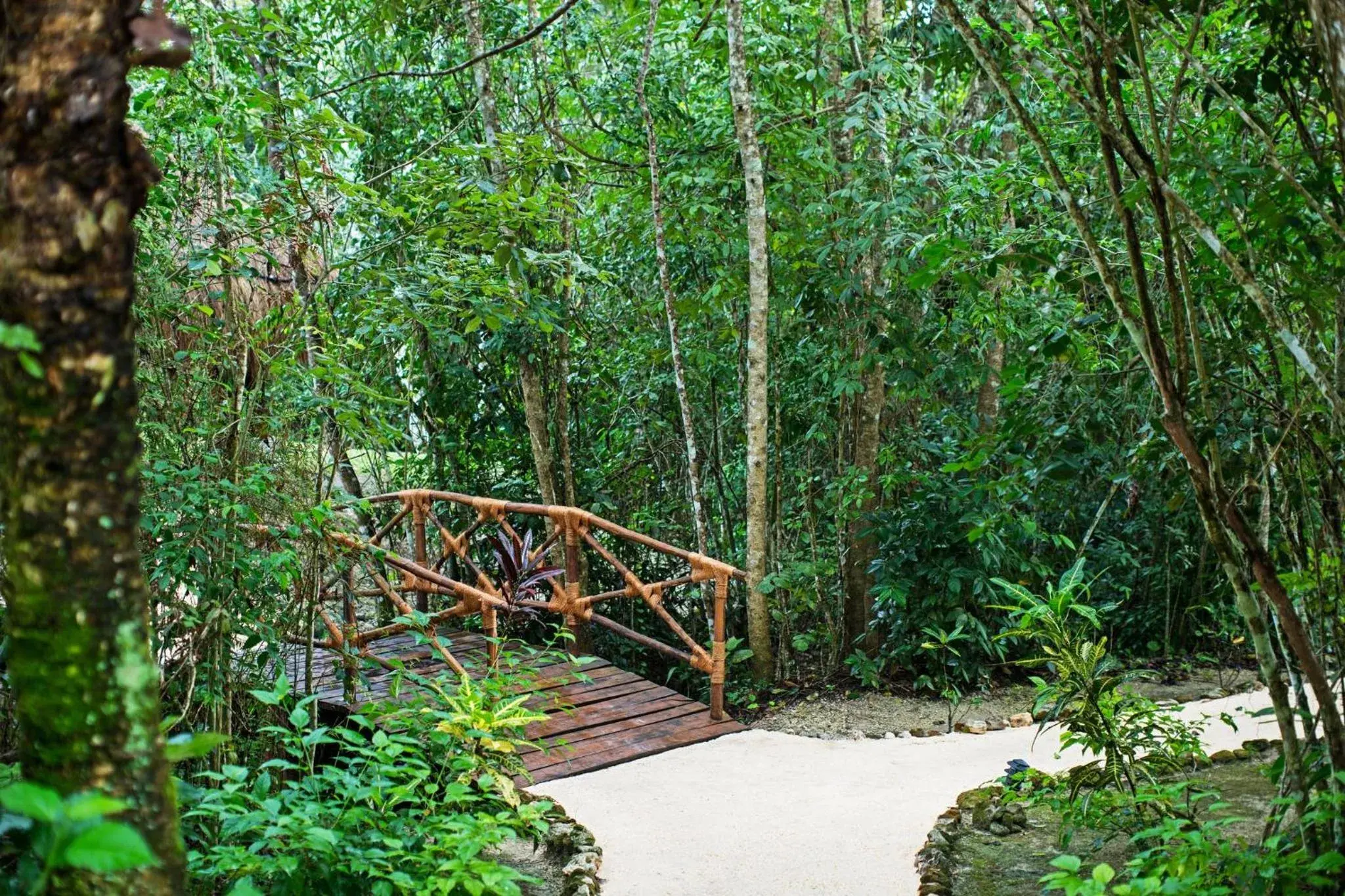 Property building in The Explorean Selva Maya Kohunlich Property building in The Explorean Selva Maya Kohunlich