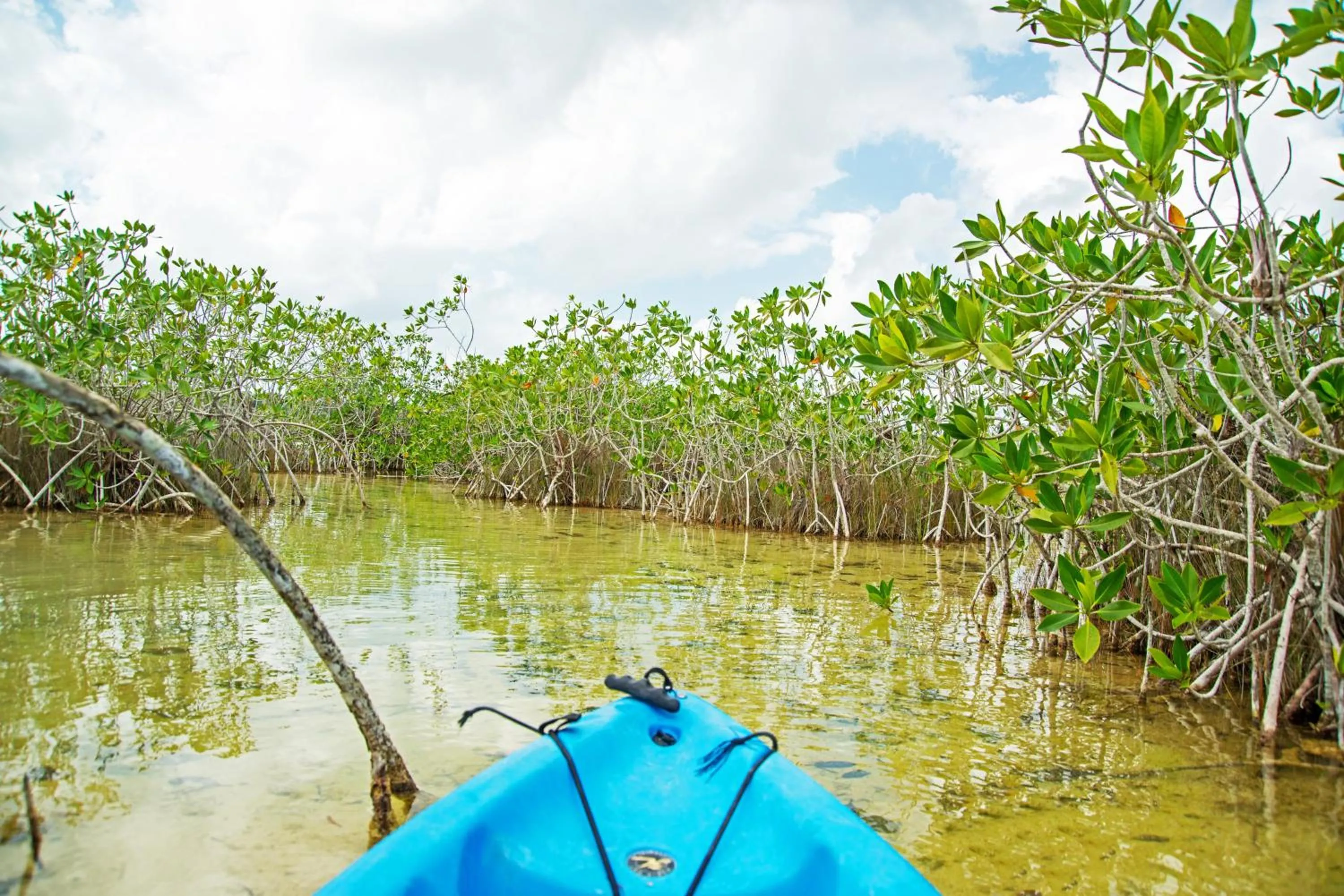 Activities in The Explorean Selva Maya Kohunlich
