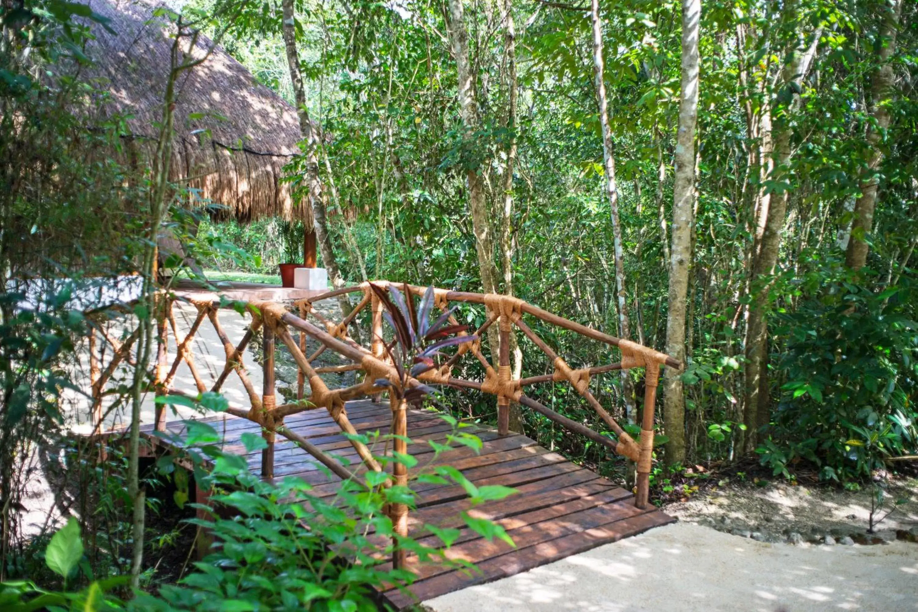 Property building in The Explorean Selva Maya Kohunlich Property building in The Explorean Selva Maya Kohunlich