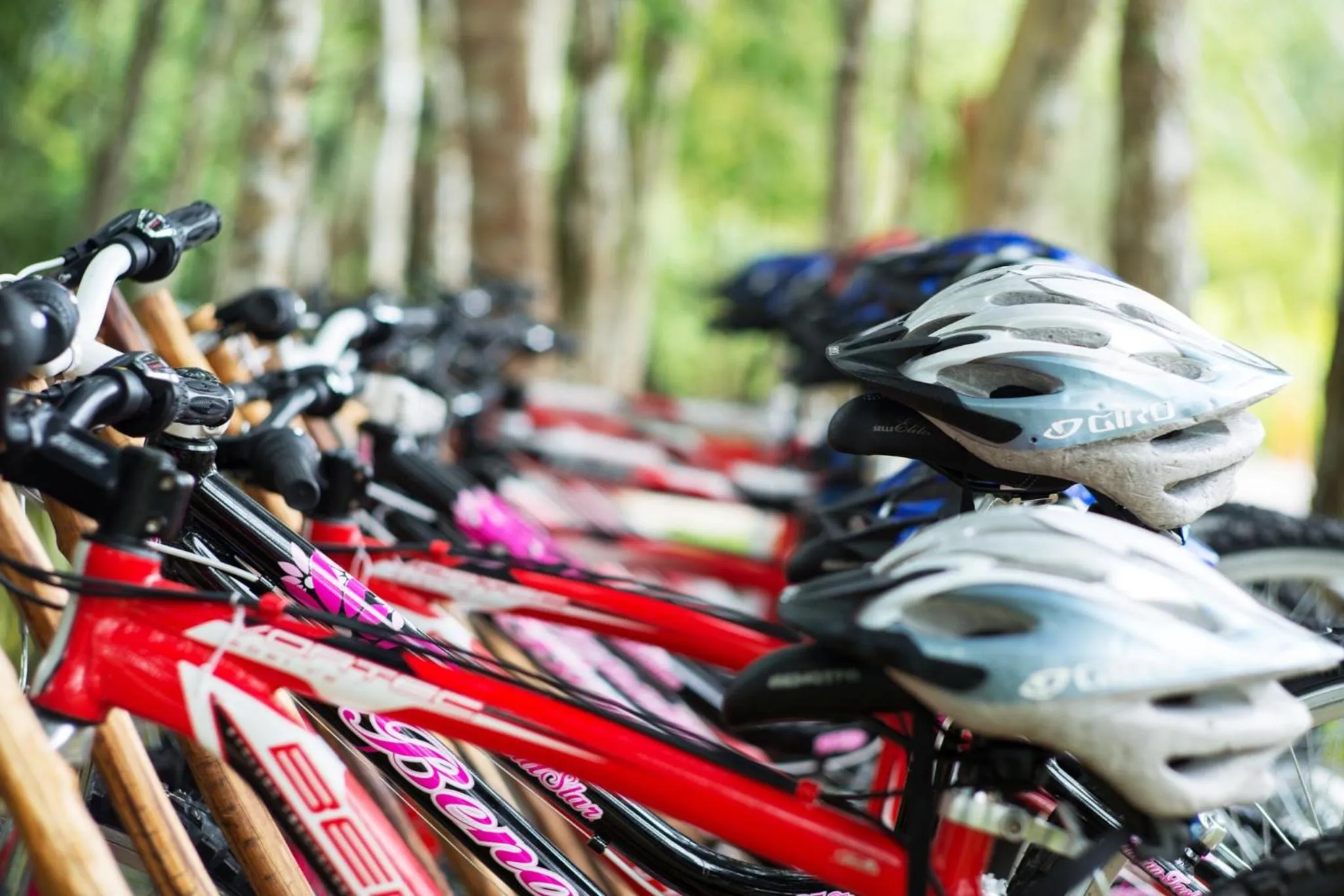 Activities in The Explorean Selva Maya Kohunlich