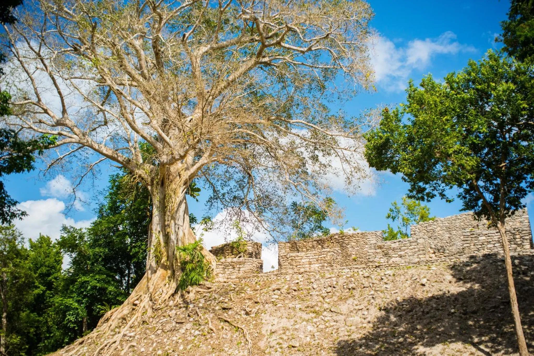 Nearby landmark in The Explorean Selva Maya Kohunlich