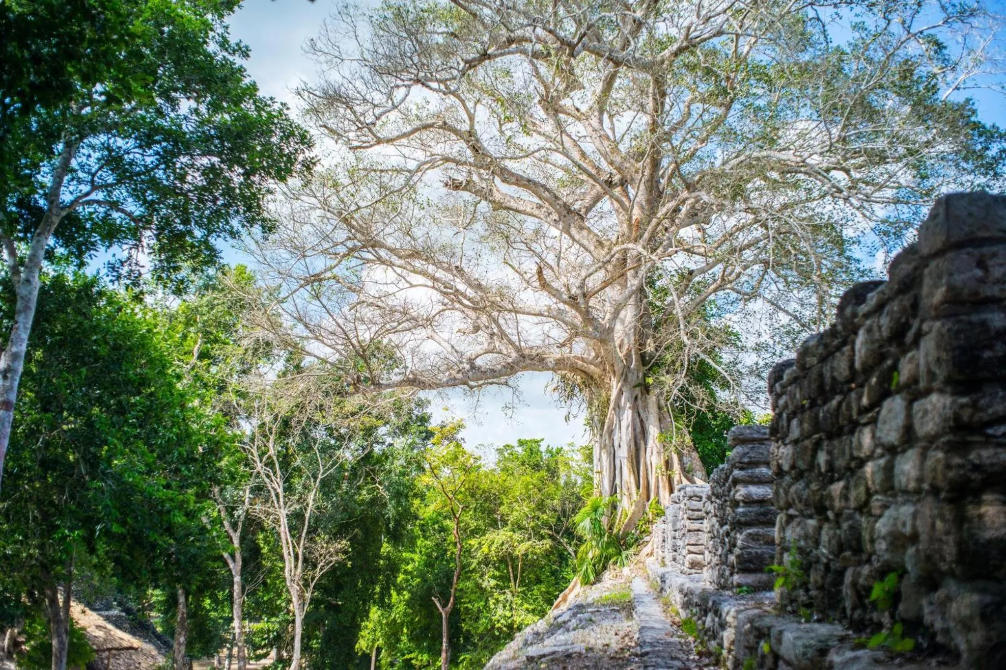 Nearby landmark in The Explorean Selva Maya Kohunlich