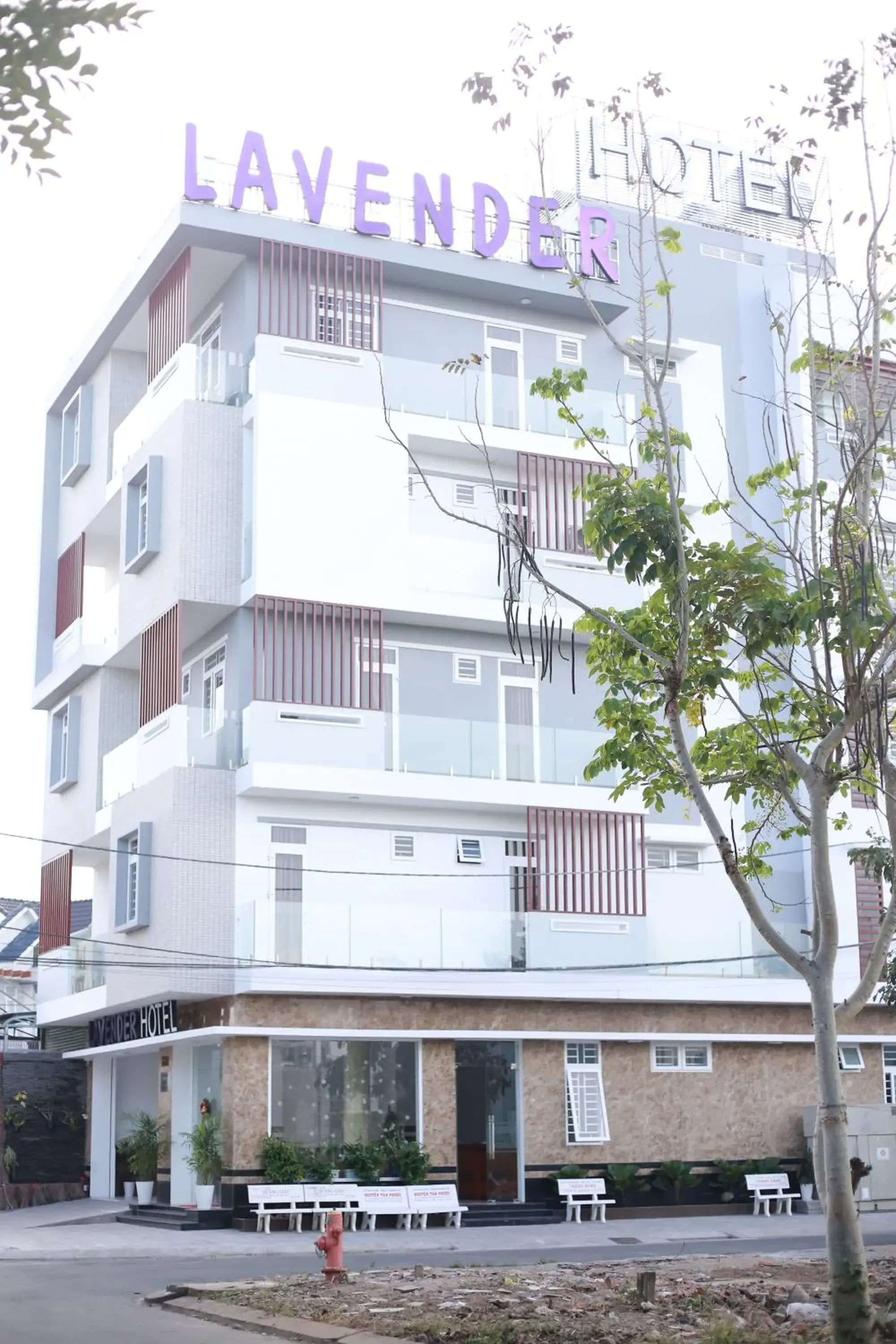 Lavender Hotel Lavender Hotel