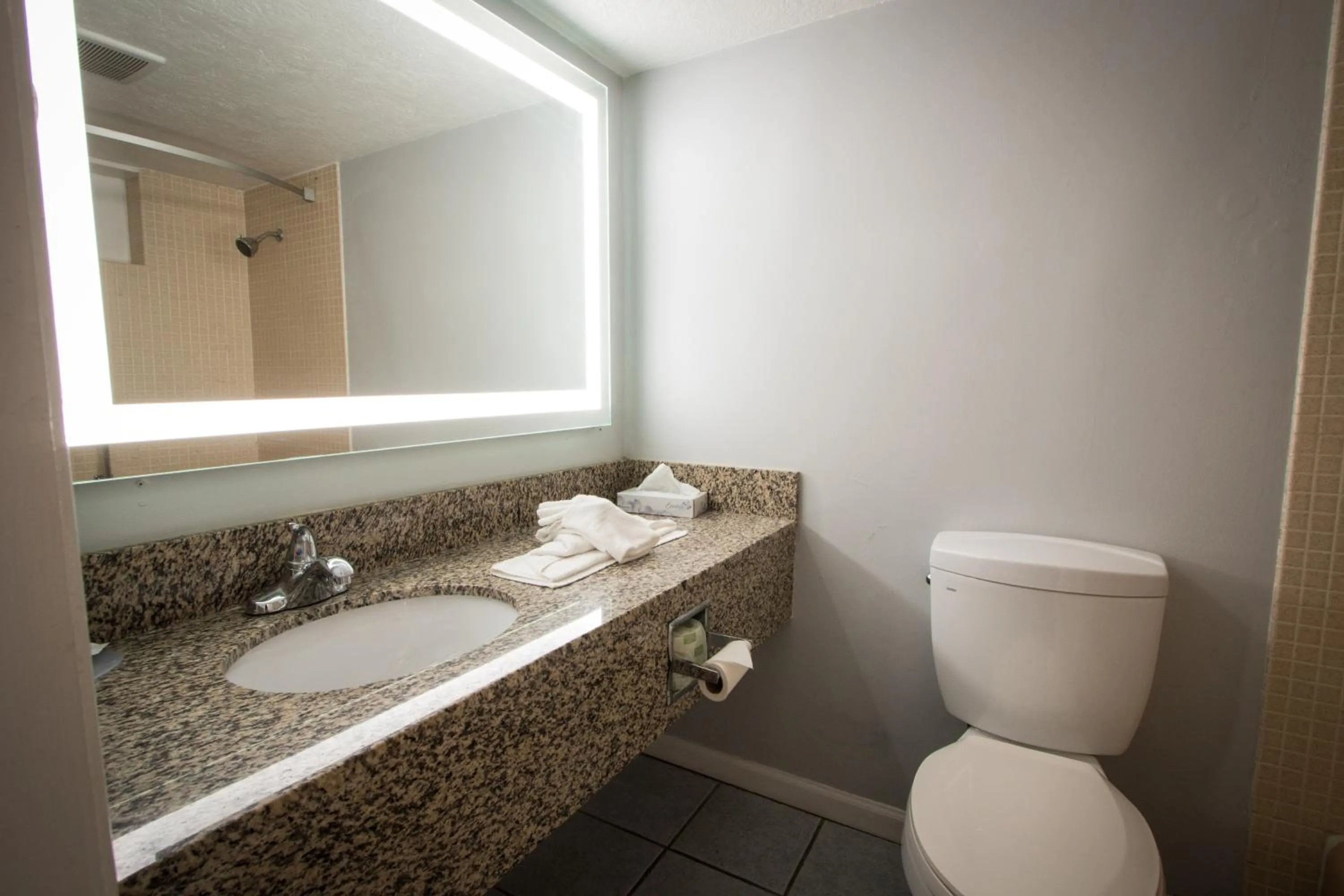 Bathroom in Envi Boutique Hotel Henderson-Evansville South
