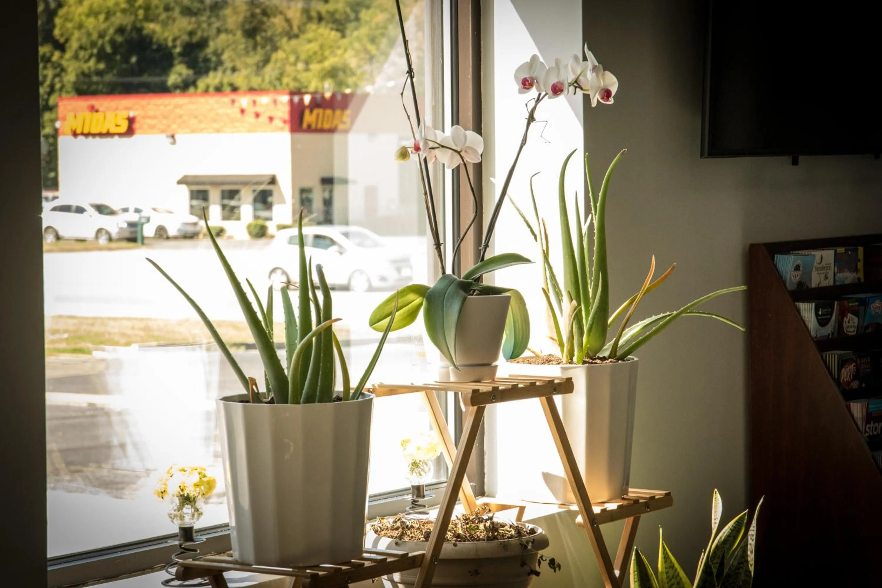 Garden in Envi Boutique Hotel Henderson-Evansville South