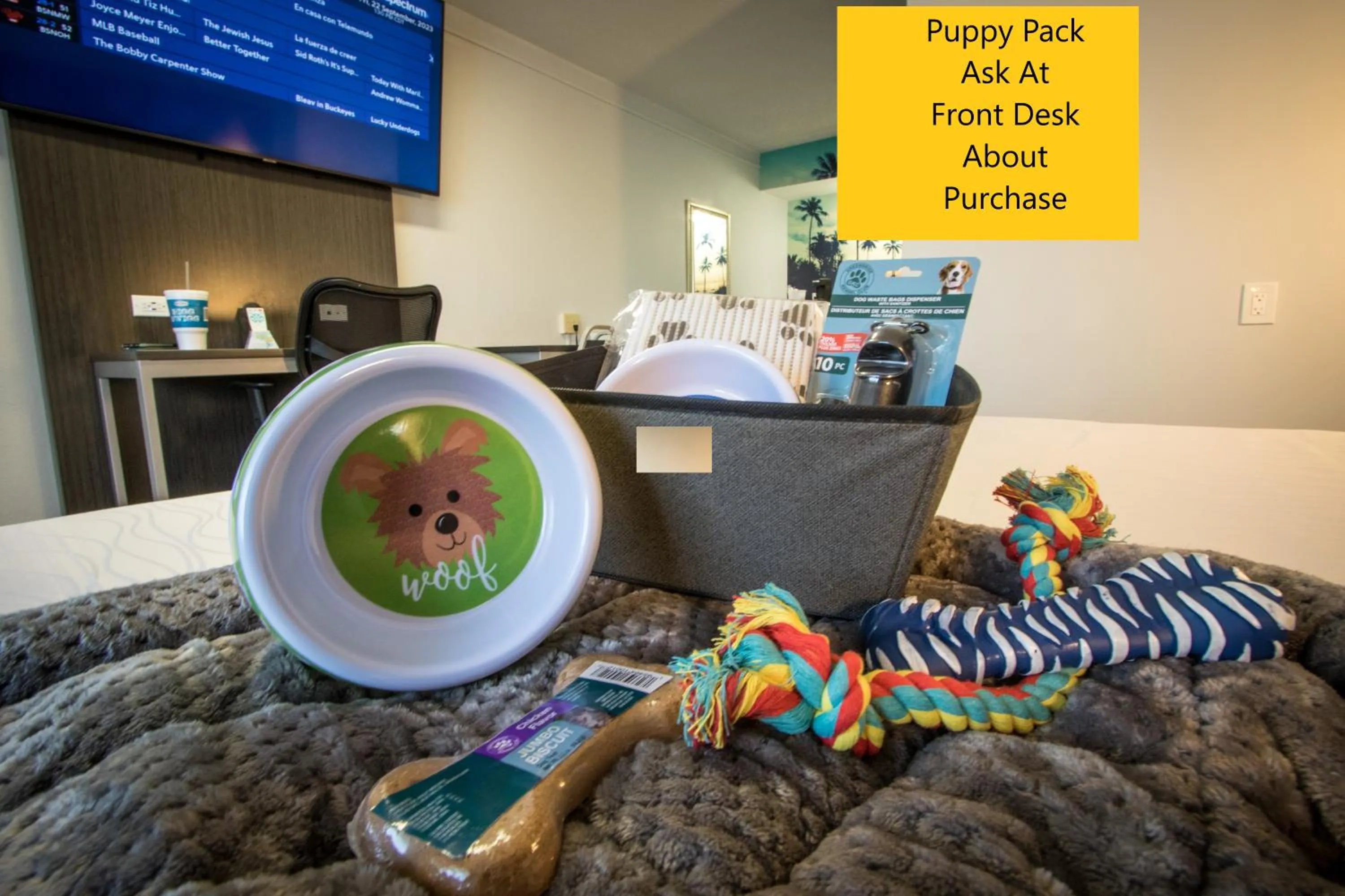 Pets in Envi Boutique Hotel Henderson-Evansville South