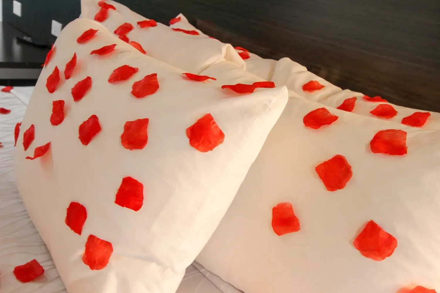 Bed in Envi Boutique Hotel Henderson-Evansville South Bed in Envi Boutique Hotel Henderson-Evansville South