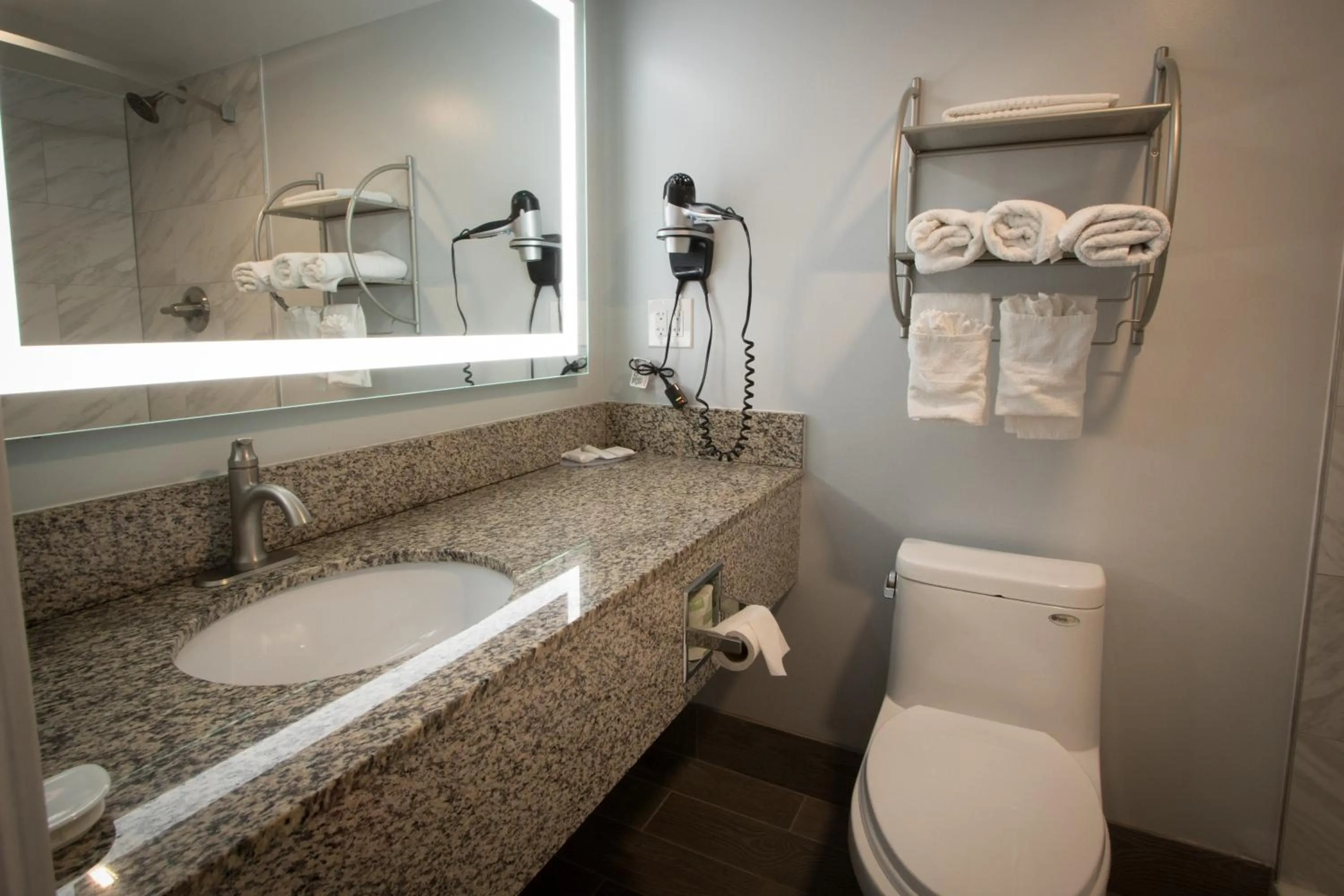 Bathroom in Envi Boutique Hotel Henderson-Evansville South