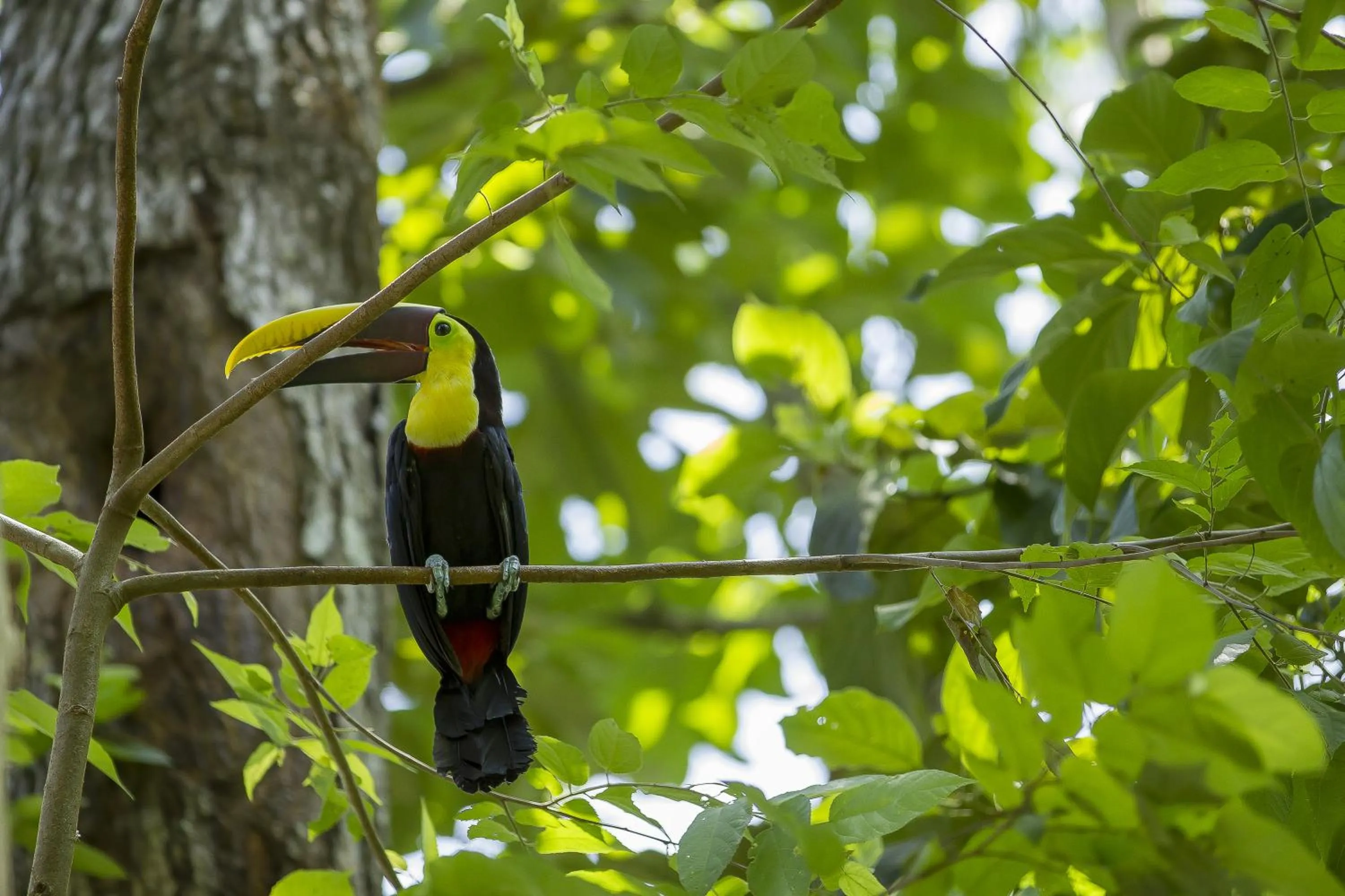 Nearby landmark in Hotel Cuna del Angel