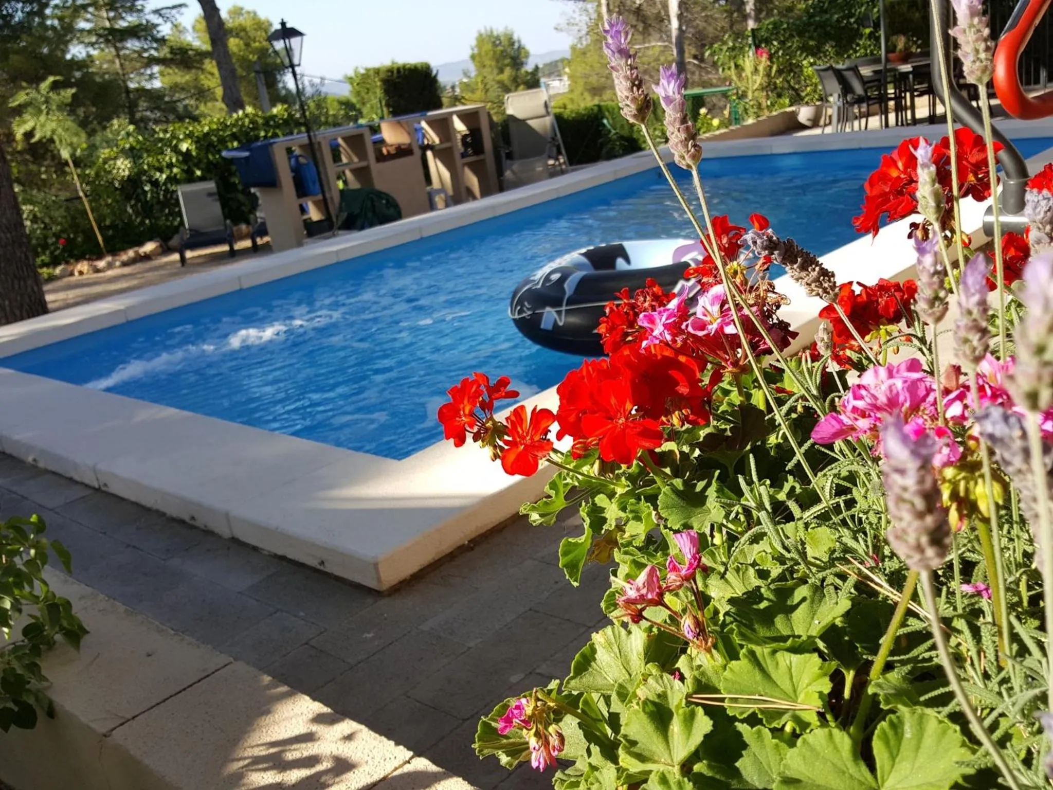 Property building in Casa Jetizo