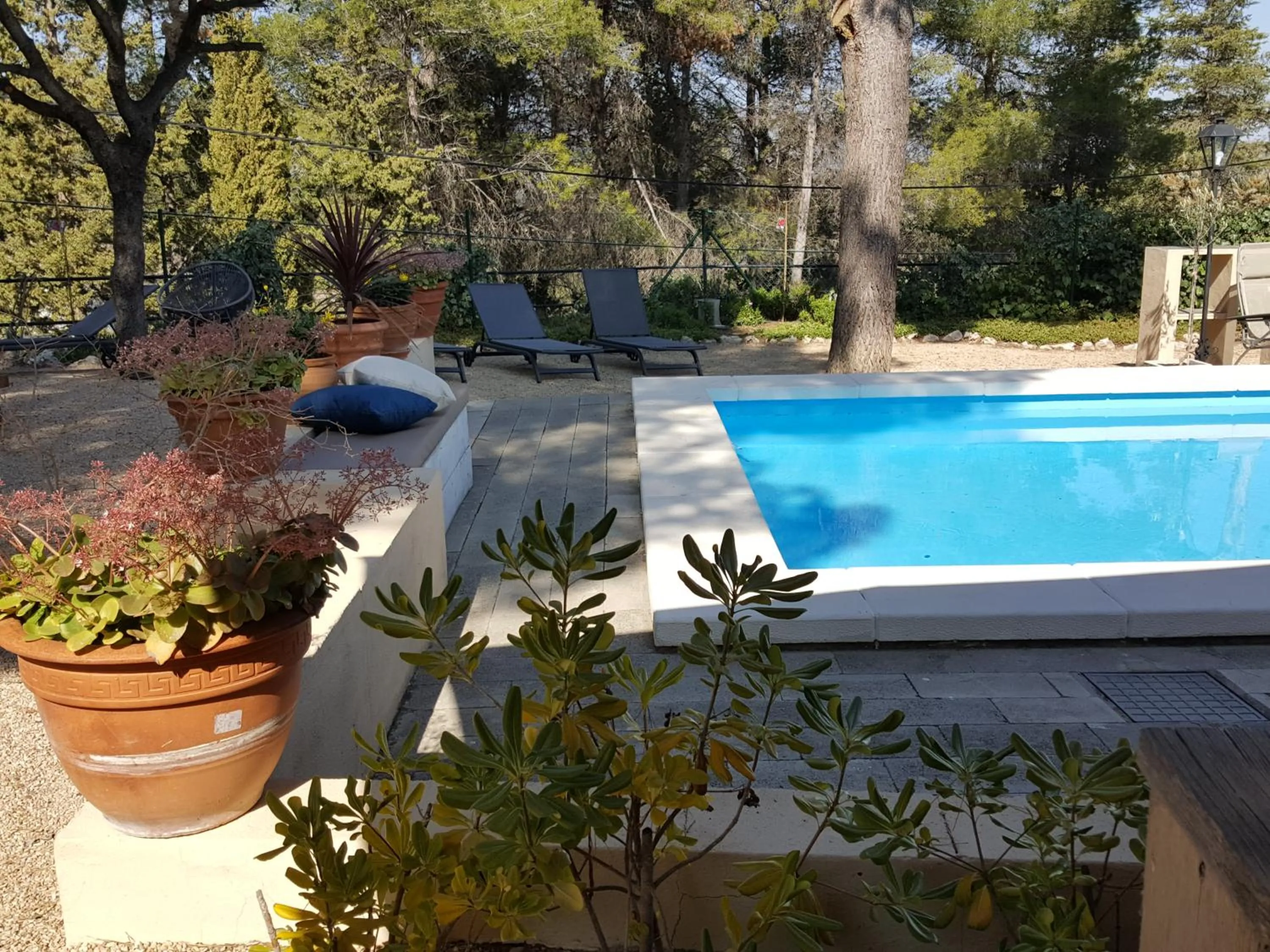Swimming pool in Casa Jetizo