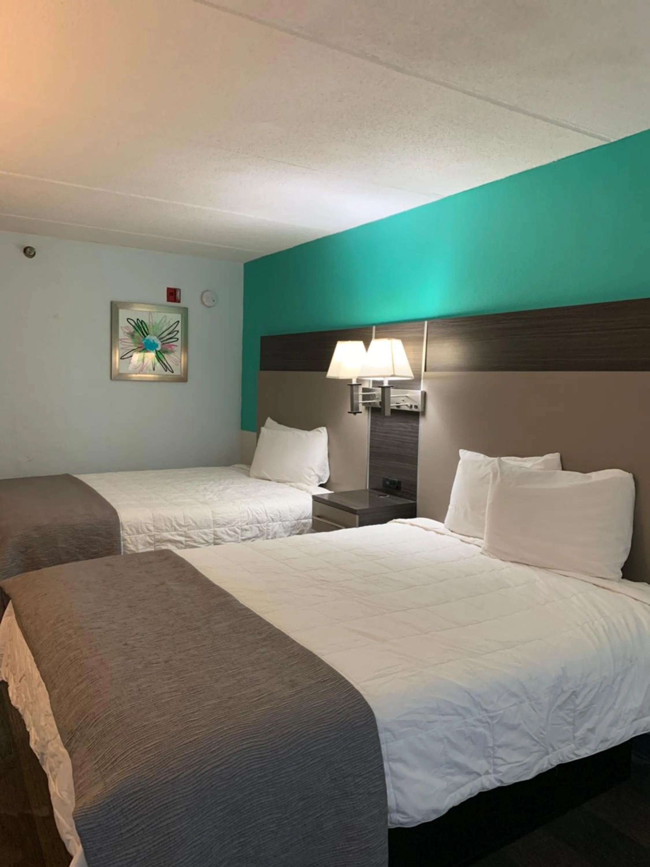 Bed in Sky Suites