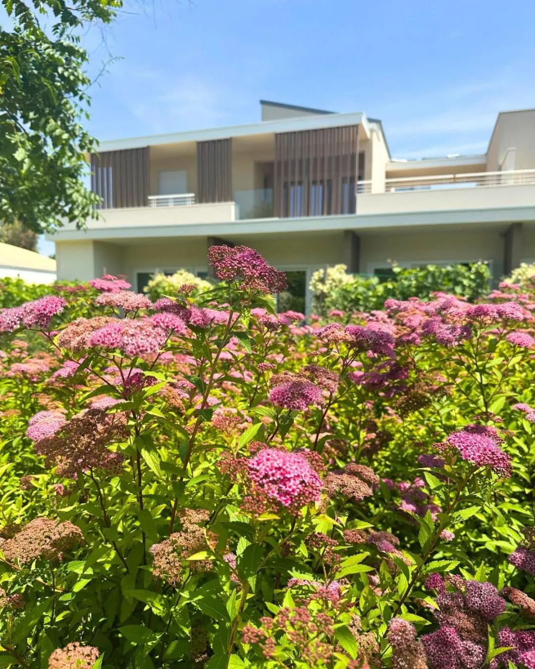 Property building in Suite du Parc & Hotel