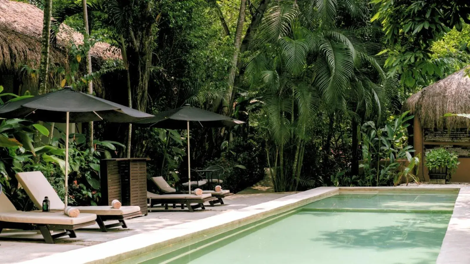 Swimming pool in Piedra de Agua Palenque Swimming pool in Piedra de Agua Palenque