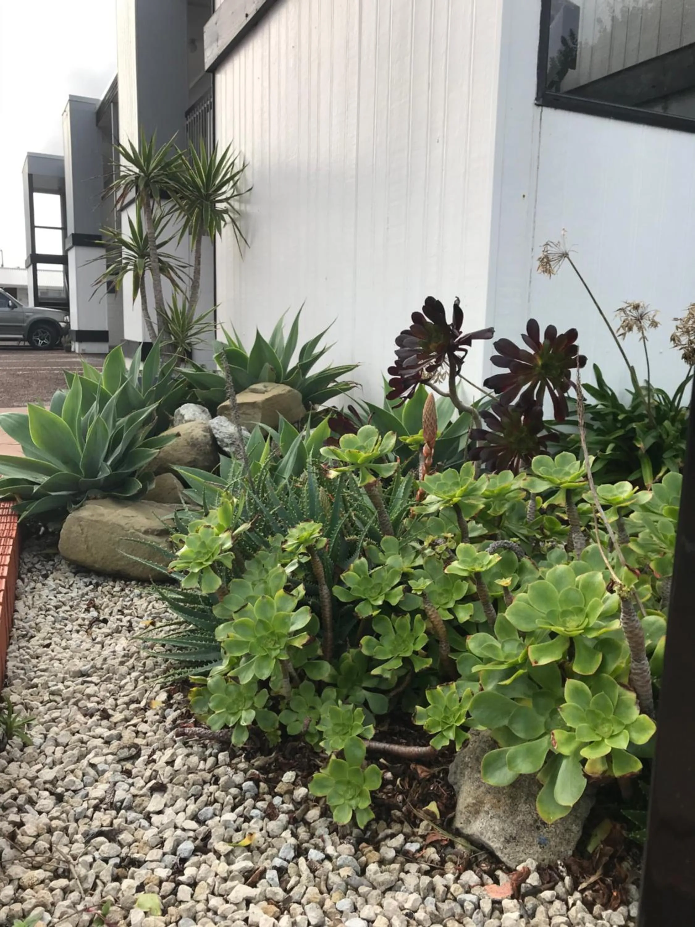 Facade/entrance in Waikanae Beach Motel