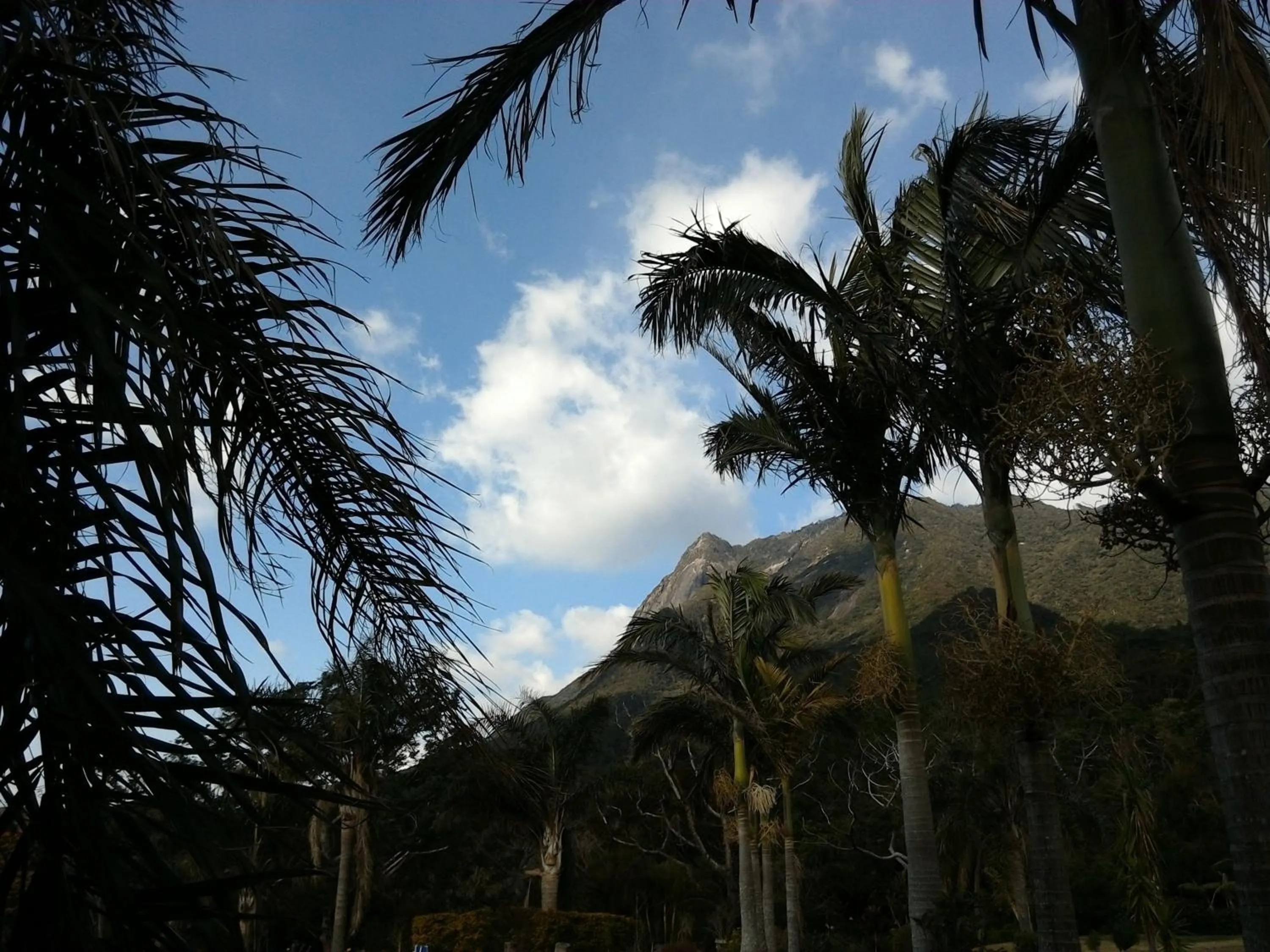 View (from property/room) in Hana Mana